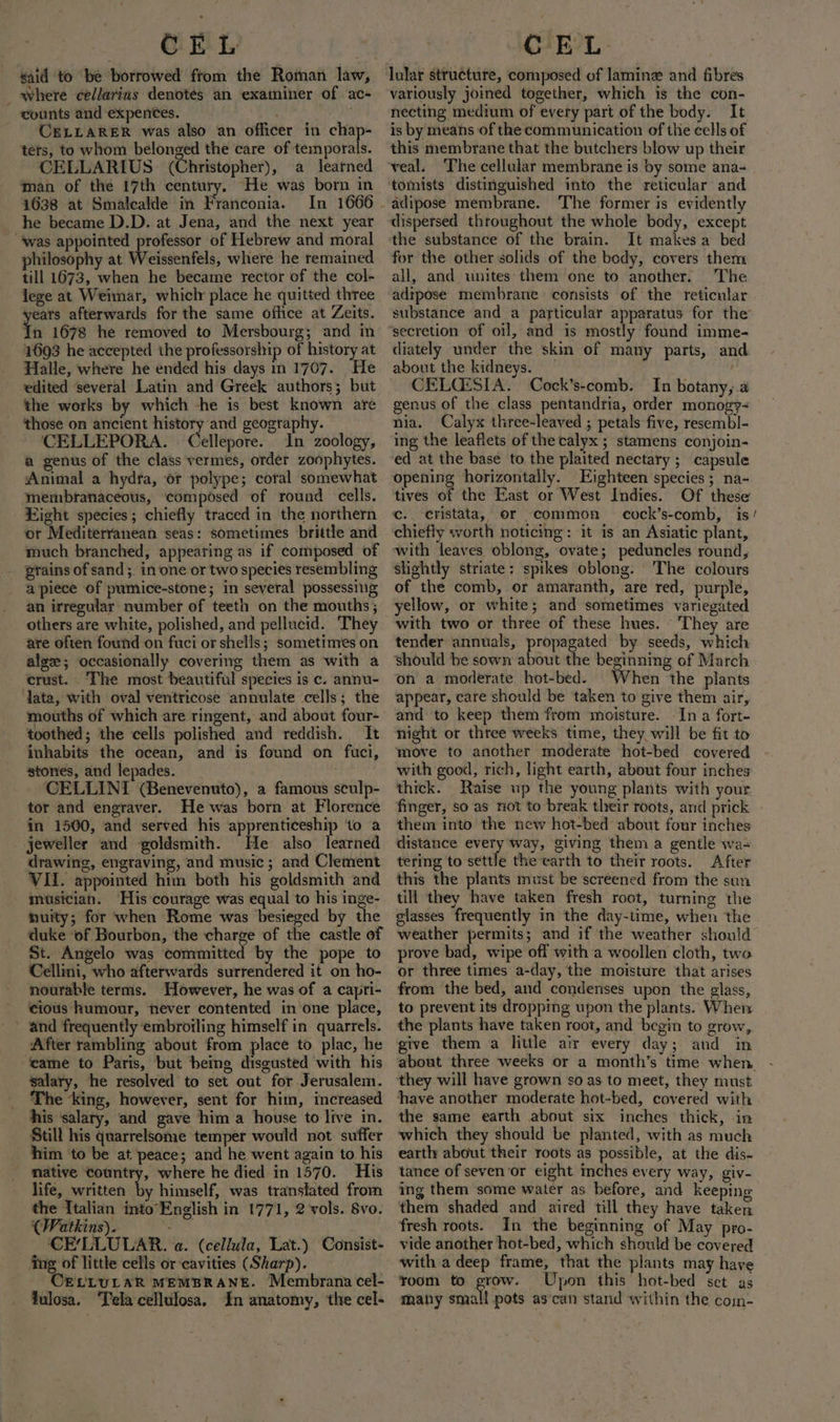 CEL | aid to be borrowed from the Roman law, _ where cedlarins denotes an examiner of ac- counts and expences. CELLARER was also an officer in chap- ters, to whom belonged the care of temporals. CELLARIUS (Christopher), a learned man of the 17th century, He was born in 1638 at Smalcalde in Franconia. In 1666 he became D.D. at Jena, and the next year ‘was appointed professor of Hebrew and moral philosophy at Weissenfels, where he remained till 1673, when he became rector of the col- lege at Weimar, whiclr place he quitted three afterwards for the same office at Zeits. 1693 he accepted the professorship of history at Halle, where he ended his days in 1707. He edited ‘several Latin and Greek authors; but the works by which -he is best known are those on ancient history and geography. CELLEPORA. Cellepare. In zoology, a genus of the class vermes, order zoophytes. Animal a hydra, er polype; coral somewhat membranaceous, composed of round cells. Eight species; chiefly traced in the northern or Mediterranean seas: sometimes brittle and much branched, appearing as if composed of prains of sand. in one or two species resembling a piece of pumice-stone; in several possessing an irregular number of teeth on the mouths; others are white, polished, and pellucid. They are often found on fuci or shells; sometimes on alge; occasionally covering them as with a crust. The most beautiful species is c. annu- lata, with oval ventricose annulate cells; the toothed; the cells polished and reddish. It inhabits the ocean, and is found on fuci, stones, and lepades. 5; CELLINI (Benevenuto), a famous sculp- tor and engraver. He was born at Florence in 1500, and served his apprenticeship to a jeweller and goldsmith. He also learned drawing, engraving, and music; and Clement VII. appointed him both his goldsmith and musician. His courage was equal to his inge- huity; for when Rome was besieged by the duke ‘of Bourbon, the charge of the castle of St. Angelo was committed by the pope to Cellini, who afterwards surrendered it on ho- nourable terms. However, he was of a capri- cious humour, never contented in one place, and frequently ‘embroiling himself in quarrels. After rambling about from place to plac, he ‘came to Paris, but being disgusted with his salary, he resolved to set out for Jerusalem. The ‘king, however, sent for him, increased his ‘salary, and gave him a house to live in. Still his quarrelsome temper would not suffer him to be at peace; and he went again to his native country, where he died in 1570. His life, written th himself, was translated from the Italian into’ English in 1771, 2 vols. Svo. (Watkins). en ; CE/LLULAR. a. (cellula, Lat.) Consist- ing of little cells or-cavities (Sharp). CELLULAR MEMBRANE. Membrana cel- fulosa. ‘Tela cellulosa. In anatomy, the cel- CEL lular structure, composed of lamine and fibres variously joined together, which is the con- necting medium of every part of the body. It is by means of the communication of the cells of this membrane that the butchers blow up their veal. The cellular membrane is by some ana- tomists distinguished into the reticular and dispersed throughout the whole body, except the substance of the brain. It makes a bed for the other solids of the bedy, covers them all, and unites them one to another. The adipose membrane consists of the reticular substance and a particular apparatus for the secretion of oil, and is mostly found imme- diately under the skin of many parts, and about the kidneys. CELQESIA.. Cock’s-comb. In botany,.a genus of the class pentandria, order monog?-~ nia. Calyx three-leaved ; petals five, resembl- ing the leaflets of the calyx ; stamens conjoin- ed at the base to the plaited nectary ; capsule opening horizontally. Eighteen species ; na- tives of the East or West Indies. Of these c. cristata, or common _ cock’s-comb, is chiefly worth noticing: it is an Asiatic plant, with leaves oblong, ovate; peduncles round, slightly striate: spikes oblong. The colours of the comb, or amaranth, are red, purple, yellow, or white; and sometimes variegated with two or three of these hues. -'They are tender annuals, propagated by seeds, which should be sown about the beginning of March on a moderate hot-bed. When the plants appear, care should be taken to give them air, and to keep them from moisture. In a fort- night or three weeks time, they will be fit to move to another moderate hot-bed covered with good, rich, light earth, about four inches thick. Raise wp the young plants with your. finger, so as not to break tlreir roots, and prick - them into the new hot-bed about four inches distance every way, giving them a gentle wa- tering to settle the carth to their roots. After this the plants must be screened from the sun till they have taken fresh root, turning the glasses frequently in the day-time, when the weather permits; and if the weather should prove bad, wipe off with a woollen cloth, two or three times a-day, the moisture that arises from the bed, and conderises upon the glass, to prevent its dropping upon the plants. When the plants have taken root, and begin to grow, give them a little air every day; and in about three weeks or a month’s time when. they will have grown so as to meet, they must have another moderate hot-bed, covered with the same earth about six inches thick, in which they should be planted, with as much earthy about their roots as possible, at the dis- tance of seven ‘or eight inches every way, giv- ing them some water as before, and keeping them shaded and aired till they have taken fresh roots. In the beginning of May pro- vide another hot-bed, which should be covered with a deep frame, that the plants may have room to grow. Upon this hot-bed set as many small pots as’can stand within the coyn-