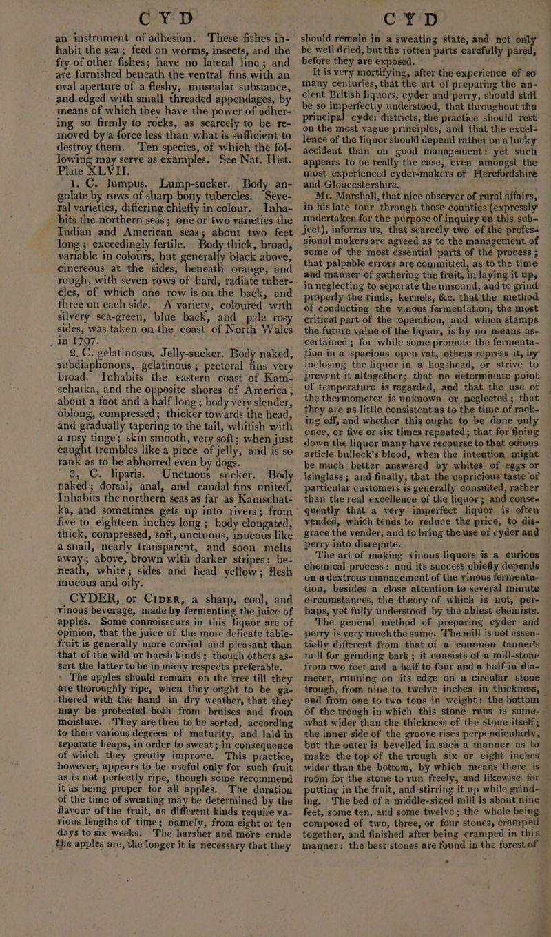 Cows TS an imstrument of adhesion. These fishes in- habit the sea; feed on worms, insects, and the fiy of other fishes; have no lateral line ; and are furnished beneath the ventral fins with an oval aperture of a fleshy, muscular substance, and edged with small threaded appendages, by means of which they have the power of adher- ing so firmly to rocks, as scarcely to be re- moved by a force less than what is sufficient to destroy them. ‘Ten species, of which the fol- lowing may serve as examples. See Nat. Hist. Plate XLVIL 1. C. lumpus. Lump-sucker. Body an- gulate by rows of sharp bony tubercles. Seve- ral varieties, differing chiefly in colour, Inha- - bits the northern seas; one or two varieties the Indian and American seas; about two feet long ; exceedingly fertile. Body thick, broad, variable in colours, but generally black above, cinereous at the sides, beneath orange, and cles, of which one row is on the back, and three on each side. A variety, coloured with silvery sca-green, blue back, and pale ros sides, was taken on the coast of North Wales in 1797. i tad . 2. C. gelatinosus, Jelly-sucker. Body naked, subdiaphonous, gelatinous ; pectoral fins very broad. Inhabits the eastern coast of Kam- schatka, and the opposite shores of America; about a foot and a half long; body very slender, oblong, compressed; thicker towards the head, and gradually tapering to the tail, whitish with a rosy tinge; skin smooth, very soft; when just caught trembles like a piece of jelly, and is so rank as to be abhorred even by dogs. ' 3, _C. liparis. Unctuous sucker. Body naked; dorsal, anal, and caudal fins united. inhabits the northern seas as far as Kamschat- five to eighteen inches long ; body elongated, thick, compressed, soft, unctuous, mucous like a snail, nearly transparent, and soon melts away:; above, brown with darker stripes; be- neath, white; sides and head yellow; flesh mucous and oily. _CYDER, or Ciper, a sharp, cool, and vinous beverage, made by fermenting the juice of apples. Some connoisseurs in this liquor are of Opinion, that the juice of the more detficate table- fruit is generally more cordial and pleasant than that of the wild or harsh kinds; though others as- sert the latter to be in many respects preferable. The apples should remain on the tree till they are thoroughly ripe, when they ought to be ga- _thered. with the hand in dry weather, that they may be protected both from bruises and from moisture. .They are then to be sorted, according to their various degrees of maturity, and laid in separate heaps, in order to sweat; in consequence of which they greatly improve. This practice, however, appears to be useful only for such fruit as is not perfectly ripe, though some recommend it as being proper for all apples. The duration of the time of sweating may be determined by the Havour of the fruit, as different kinds require va- rious lengths of time; namely, from eight or ten days to six weeks. The harsher and more crude the apples are, the longer it is necessary that they CY D should remain in a sweating state, and. not only be well dried, but the rotten parts carefully pared, before they are exposed. ) It is very mortifying, after the experience of so many centuries, that the art of preparing the an- cient British liquors, cyder and perry, should still be so imperfectly understood, that throughout the principal eyder districts, the practice should rest on the most vague principles, and that the excel lence of the liquor should depend rather on a lucky accident than on good management: yet such appears to be really the case, even amongst the most experienced cyder-makers of Herefordshire and. Gloucestershire. sae Mr. Marshall, that nice observer of rural affairs, in hislate tour through those counties (expressly undertaken for the purpose of inquiry on this sub- ject), informs us, that scarcely two of the profess sional makers are agreed as to the management of some of the most essential parts of the process 5 that palpable errors are committed, as to the time and manner of gathering the fruit, in laying it upy in neglecting to separate the unsound, and to grind’ properly the rinds, kernels, &amp;c. that the method of conducting the vinous fermentation, the most critical part of the operation, and which stamps the future value of the liquor, is by no means as- certained ; for while some promote the fermenta- tion im a spacious open vat, others repress. it, by inclosing the liquor in a hogshead, or strive to prevent it altogether; that no determinate point of temperature is regarded, and that. the use of the thermometer is unknown or neglected ; that they are as little consistentas to the time of rack- ing off, and whether this ought to be done only once, or five or six times repeated ; that for fining down the liquor many have recourse to that odious article bullock’s blood, when the intention might be much better answered by whites of egys or isinglass; and finally, that the capricious taste of particular customers is generally consulted, rather than the real excellence of the liquor; and conse- — quently that.a very imperfect liquor is often vended, which tends to reduce the price, to dis- grace the vender, and to bring the use of cyder and perry into disrepute. The art of making vinous liquors is a curious chemical process: and its success chiefly depends on a dextrous management of the vinous fermenta- tion, besides a close attention to several minute circumstances, the theory of which is not, per- haps, yet fully understood by the ablest chemists. The general method of preparing cyder and perry is very muchthe same. The mill is not essen- tially different from that of a common tanner’s mill for grinding bark ; it consists of a mill-stone from two feet.and a half to four and a half in dia- meter, running on its edge on a circular stone trough, from nine to. twelve inches in thickness, and from one to two tons in weight: the bottom of the trough in which this stone runs is some-— what wider than the thickness of the stone itself; the inner side of the groove rises perpendicularly, but the outer is bevelled in such a manner as to make the top of the trough six or eight inches wider than the bottom, by which means there is roém for the stone to run freely, and likewise for putting in the fruit, and stirring it up while grind-— ing. ‘The bed of a middle-sized mill is about nine feet, some ten, and some twelve; the whole being composed of two, three, or four stones, cramped together, and finished after being cramped in this manner: the best stones are found in the forest of