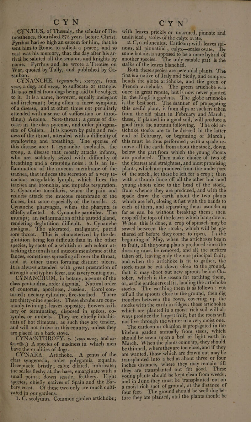 } C YN . CYNZEUS, of Thessaly, the scholar of De- mosthenes, flourished 275 years before Christ. Pyrrhus had so high an esteem for him, that he sent him to Rome to solicit a peace; and so vast was his memory, that the day after his ar- rival he saluted all the senators and knights by name. Pyrrhus and he wrote a Treatise on War, quoted by Tully, and published by Ca- saubon. . CYNA/NCHE. (cynanche, xvweyxn, from xuvwy, a dog, and avyw, to suffocate or strangle. It is so called from dogs being said to be subject to it. It isa name, however, equally inelegant and irrelevant ; being often a mere symptom of a disease, and at other times not peculiarly attended with a sense of suffocation or throt- tling.) Angina. Sore-throat: a genus of dis- eases In the class pyrexize, and order phlegma- siz of Cullen.. 1t is known by pain and red- ness of the throat, attended with a difficulty of swallowing and breathing. The species of this disease are: 1. cynanche trachialis, the croup, a disease that mostly attacks infants, who are suddenly seized with difficulty of breathing and a crouping noise: it is an in- flammation of the mucous membrane of the trachea, that induces the secretion of a very te- nacious coagulable lymph, which lines the trachea and bronchia, and impedes respiration. 2. Cynanche tonsillaris, when: the pain and redness attack the mucous membrane of the fauces, but more especially of the tonsils. 3. Cynanche pharyngea, when the pharynx. is chiefly affected. 4. Cynanche parotidea. The mumps; an inflammation of the parotid gland, rendering. deglutition. difficult. 5. Cynanche maligna. The ulcerated, malignant, putrid sore throat. This is characterized. by the de- glutition being less difficult than in the other species, by spots of a whitish or ash colour at- tacking the tonsils and mucous membrane of the fauces, sometimes spreading all over the throat, and at other times forming distinct ulcers. It is always attended with great prostration of strength and typhus fever, and is very contagious. CYNANCHUM, in botany, a genus of the class pentandria, order digynia, Natural order of contorte, apocinee, Jussieu. Corol con- torted; nectary cylindric, five-toothed. There _ are thirty-nine species. ‘These shrubs are com- monly twining; leaves opposite; flowers axil- lary or terminating, disposed in spikes, co- rymbs, or umbels. They are chiefly inhabit- ants of hot climates; as such they are tender, and will not thrive in this country, unless they are placed in a bark stove. CYNA’NTHROPY. S. (xuwy KUYVOC, and ay- &amp;cwrG@-.) A species of madness in which men have the qualities of dogs. CY’NARA. Artichoke. A genus of the class syngenesia, order polygamia «xqualis. Receptacle bristly ; calyx Eee imbricate ; the scales fleshy at the base, emarginate with a small point; down sessile, feathery. Eight species; chiefly natives of Spain and the Bar- bary coast. Of these two only are much culti- yated in our gardens. 1. C. scolymus, Common garden artichoke ; CN with leaves_ prickly or He pinnate and undivided; scales of the calyx ovate, 2.C,cardunculus, Cardoon; with leaves spi- nous, all pinnatifid , calyx—seales ovate, B some botanists supposed to be a mere hybrid of another species. ‘The only eatable part is the stalks of the leaves blanched. Both these species are perennial plants. The first isa native of Italy and Sicily, and compre- hends the globe artichoke, and tie green or French artichoke. The green artichoke was once in great repute, but is now never planted in the English gardens. The globe artichoke is the best sort. The manner of propagating this useful plant, is from slips or suckers taken from the old plant in February and March ; these, if planted in a good soil, will produce a good fruit the autumn following. The old ar- tichoke stocks are to be dressed in the latter end of February, or beginning of March ; this must be thus performed; with a spade re- move all the earth from about the stock, down — below the part from which the young shoots are produced. Then make choice of two of the clearest and straightest, and most promising plants, which are produced from the under part of the stock; let these be left for a crop; then with a thumb force off all the other buds and young shoots close to the head of the stock, from whence they are produced, and with the spade draw the earth about the two plants which are left, closing it fast with the hands to each of them, and separating them asunder as far as can be without breaking them; then crop off the tops of the leaves which hang down, When this is done, a crop of spinach may be sowed between the stocks, which will be ga- thered off before they come to ripen, Jn the beginning of May, when the artichokes begin to fruit, all the young plants produced since the dressing must be removed, and all the suckers taken off, leaving only the one principal fruit ; and when the artichoke is fit to gather, the stock must be cut down close to the ground, that it may shoot out new sprouts before Oc- tober, which is the season for earthing them, or, as the gardenerscall it, landing the artichoke stocks. ‘The earthing them is as follows: cut off all the sprouts close to the ground, then dig trenches between the rows, covering up the stocks with the earth in ridges: those artichokes which are planted in a moist rich soil will al~ ways produce the largest fruit, but the roots will not live through the winter in a very moist one. The cardoon or chardon is propagated in the kitchen garden annually from seeds, which should be sown upon a bed of light earth in March. When the plants come up, they should be thinned, where theyare too close, and if they are wanted, thase which are drawn out may be transplanted into a bed at about three or four inches distance, where they may remain till they are transplanted out for good. These young plants should be kept clean from weeds ; and in June they must be transplanted out on a moist rich spot of ground, at the distance of four feet. The ground should be well dug be- fore they are planted, and the plants should be