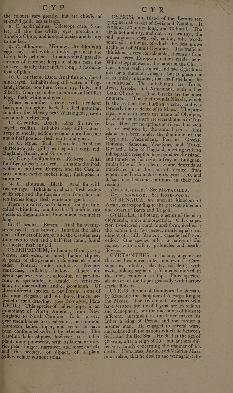 BC Wiv the ‘colours vary greatly, but are chiefly of splendid gold: scales large. 8. C. baphthalmus. Telescope carp. Scar- let; all the fins white; eyes protuberant. Anhabits China, and is equal in size and beauty to the last. . 9. C. phloxinus. Minnow. Anal fin with eight rays; tail with a dusky spot near the ‘base ; body pellucid. Inhabits small gravelly streams of Europe; keeps in shoals near the surface ; hardly three inches long; a favourite -food of pikes. 10. C. lenciscus. Dace. Anal fins ten, dorsal nine-rayed, Inhabits deep still waters of Eng- Jand, France, southern Germany, Italy, and Siberia: from six inches to one and a half feet dong: flesh white and good. There is another variety, with slenderer body, and. straighter backed, called graining, found in the Mersey near Warrington ; seven anda half inches long. 11. C. rutilus, Roach. Anal fin twelve- rayed; reddish. Inhabits deep still waters ; Keeps in shoals ; seldom weighs more than one and a half pound: flesh white and good. _ 12. C, orpus. Rud. Finscale. Anal fin ‘thirteen-rayed; gill cover spotted with red. ‘England, Russia, and Germany. . 13. C, erythophthalmus. Red-eye. Anal fin fifteen-rayed; fins red. Inhabits the fresh waters of northern. Europe, and the Caspian sea; about twelve inches long; flesh good in ‘summer. . 14. C. alburnus. Bleak. Anal fin with twenty rays. Inhabits'in shoals fresh waters of Europe and the Caspian sea: . from four. to ten inches long: flesh wuite and good. There is a variety with lateral straight line, Sealled white-bait, found in the Thames in vast shoals in thesmonth of June, about two inches Jong. _ 15. C. brama. Bream. Anal fin twenty- ‘seven rayed; fins brown. Inhabits the lakes and still rivers of Europe, and the Caspian sea; irom two to two anda half feet long; found an shoals: flesh insipid. » CYPRIPEDIUM, in botany. (from Kure, Venus, and odo, a shoe.) Ladies’ slipper. A genus. of the gynandria diandria class and order. Natural order orchidee. Nectary ¥entricose, inflated, hollow. There are “seven species: viz. c. calceolus, c. parviflo- Tum, c. spectabile, c. acaule, c. ventrico- Sum, c. macranthos, and c. jaconicum. Of these different species, c. paviforum. is one of the most elegant; and we have, hence, se- ‘lected it fora drawing. (See Botany, Plate LVIIL.) This species of la¢lies-slipper is an anhabitant of North America, from New England to North Carolina. It has a very hear resermblance to c. ealceolus, or common European ladies-slipper, and ‘seems to have been confounded with it by Michaux. The Carolina ladies-slipper, however, is a. taller ‘plant, more pubescent, with its lateral or inte- fior petals longer, narrower, and more curled ; and the nectary, or slipper, of .a plain wWellow colour without veias. CYR CYPRUS, an island of the Levant sea, lying near the coast of Syria and Natolia, . ft 1s about 150 miles long, and 70 broad. The air is hot and dry, and not very healthy; the soil produces corn, oil, cotton, salt, wood, some silk and wine, of which the best grows at the foot of Mount Olympus. The traftic o, this island is very considerable, as consuls from. almost every European. nation reside here. While Cyprus was in the hands of the Christ- lans, it was well peopled, and had eight hun- dred or a thousand villages; but at present it is so thinly inhabited, that half the lands lie uncultivated. The ‘inhabitants are Turks, Jews, Greeks, and Armenians, with a few Latin Christians. The Greeks are the most numerous. ‘Che chief town is Nicosia, which is the seat of the ‘furkish viceroy, and was formerly the residence of its kings. “The prin- cipal mountain bears the name of Olympus, of which name there are several others in 'Tur- key. Here are no springs or rivers, but such as are produced by the annual rains. This island has been under the dominion of the Egyptians, Phoenicians, Persians, Greeks, Romans, Saracens, Venetians, and Turks. Richard I. king of England, meeting with an inhospitable reception here, subdued the island, and transferred his right to Guy of Lusignan, titular king of Jerusalem, whose descendants transferred it to the state of Venice, from whom the Turks took it in the year 1570, and session. Cy Prus-BIRD.” See MOTACILLA. . Cyprus-woop. See RoseE-woop. CYRENAICA, an ancient kingdom of Africa, corresponding to the present kingdom and desart of Barca and Tripoli. CYRILLA, in botany, a genus of the class didynamia, order angiospermia. Calyx supe- rior, five-leaved ; corol funnel form, deelined ; the border flat, five-parted, nearly equal: ru- diment of a fifth filament; capsule half two- celled. One species only: a native of Ja- maica, with axillary peduncles and _ scarlet flowers. . CYRTA’NTHUS, in botany, a genus of the class hexandria, order mionogynia. Corol superior, tubular, clavate, six-cleft ; with ovate, oblong segments; filaments inserted in the tube, connivent at top.. Three species ; all natives of the Cape; generally with narrow scarlet flowers. CYRUS, the son of Cambyses the Persian, by Mandane the daughter of Astyages king of the Medes. The two chief historians who have written the life of Cyrus are Herodotus and Xenophon ; but their accounts of him are different, inasmuch. as the latter makes his father a king of Persia, and the former a meaner man. He engaged in several wars, and ‘subdued all the nations which lie between Syria and the Red Sea. He died at the age of 70 years, after a reign of 30: but authors dif- fer very much concerning the manner of his death. Herodotus, Justin, and Valerius Maxe imus relate, that he died in the war against-the