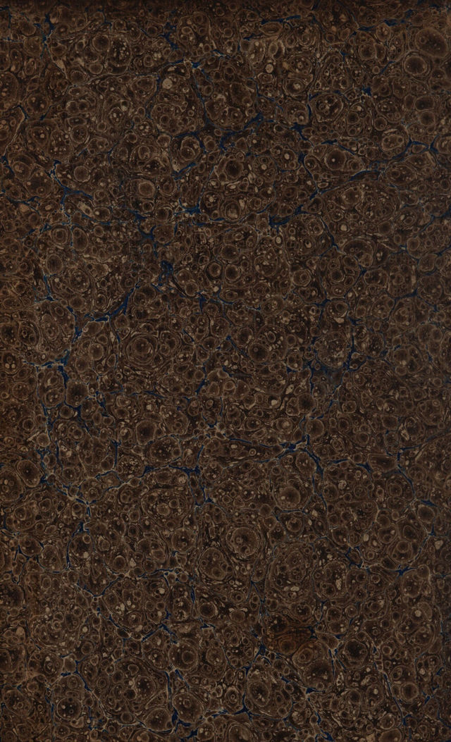 digitised image 2