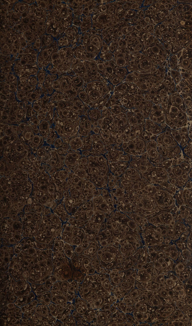 digitised image 3