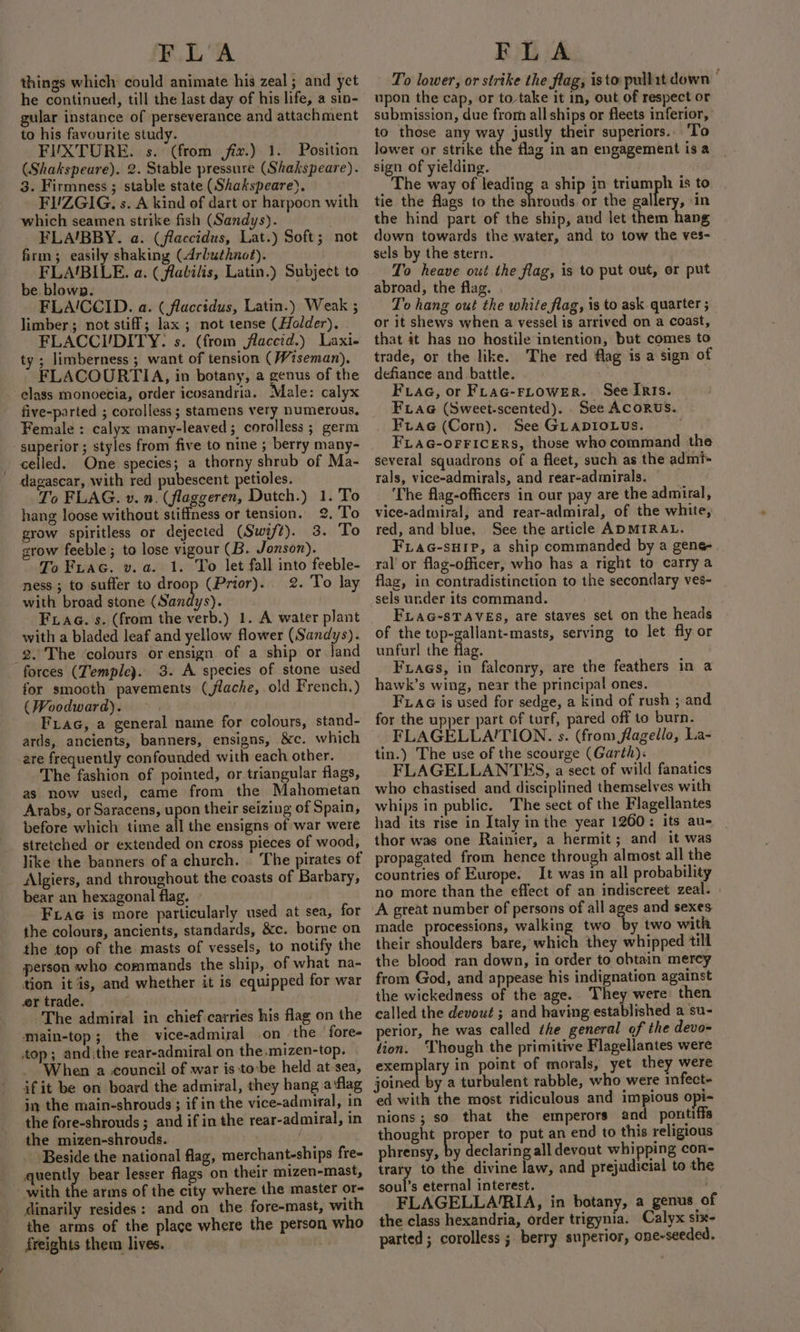 things which: could animate his zeal ; and yet he continued, till the last day of his life, a sin- gular instance of perseverance and attachment to his favourite study. FIXTURE. s. (from fix.) 1. Position (Shakspeure). 2. Stable pressure (Shakspeare). 3. Firmness ; stable state (Shakspeare). FUZGIG., s. A kind of dart or harpoon with which seamen strike fish (Sandys). _ FLA’BBY. a. (flaccidus, Lat.) Soft; not firm; easily shaking (Arbuthnot). FLA‘BILE. a. ( flatilis, Latin.) Subject to be blown. . FLAI‘CCID. a. ( flaccidus, Latin.) Weak ; limber; not stiff; lax ; not tense (Holder). FLACCI/DITY: s. (from flaccid.) Laxi- ty ; limberness ; want of tension (Wiseman), FLACOURTIA, in botany, a genus of the - elass monoetia, order icosandria. Male: calyx five-parted ; corolless ; stamens very numerous, Female : calyx many-leaved; corolless ; germ superior ; styles from five to nine ; berry many- celled. One species; a thorny shrub of Ma- dagascar, with red pubescent petioles. To FLAG. v. n. (flaggeren, Dutch.) 1. To hang loose without stiffness or tension. 2. To grow spiritless or dejected (Swift). 3. To grow feeble; to lose vigour (B. Jonson). To Fuac. v.a. 1. To let fall into feeble- ness; to suffer to droop (Prior). 2. To lay with broad stone (Sandys). Fae. s. (from the verb.) 1. A water plant with a bladed leaf and yellow flower (Sandys). 2. The colours or ensign. of a ship or Jand forces (Temple). 3. A species of stone used for smooth pavements (flache, old French.) (Woodward). . Frag, a general name for colours, stand- ards, ancients, banners, ensigns, &amp;c. which are frequently confounded with each other. The fashion of pointed, or triangular flags, as now used, came from the Mahometan Arabs, or Saracens, upon their seizing of Spain, before which time all the ensigns of war were stretched or extended on cross pieces of wood, like the banners of a church. | The pirates of Algiers, and throughout the coasts of Barbary, bear an hexagonal flag. Fxac is more particularly used at sea, for the colours, ancients, standards, &amp;c. borne on the top of the masts of vessels, to notify the person who commands the ship, of what na- tion it ‘is, and whether it is equipped for war er trade. The admiral in chief:carries his flag on the main-top; the vice-admiral on the fore top; and.the rear-admiral on the .mizen-top. When a council of war is-to-be held at-sea, if it be on board the admiral, they hang a flag in the main-shrouds ; if in the vice-admiral, in the fore-shrouds; and if in the rear-admiral, in the mizen-shrouds. 3 Beside the national flag, merchant-ships fre- quently bear lesser flags on their mizen-mast, with the arms of the city where the master or- dinarily resides: and on the fore-mast, with the arms of the place where the person who freights them lives. . To lower, or strike the flag, isto pullit down upon the cap, or to-take it in, out of respect or submission, due from all ships or fleets inferior, to those any way justly their superiors.. ‘To lower or strike the flag in an engagement is a sign of yielding. The way of leading a ship in triumph is to tie the flags to the hiss or the gallery, in the hind part of the ship, and let them hang down towards the water, and to tow the ves- sels by the stern. To heave out the flag, is to put out, or put abroad, the flag. To hang out the white flag, is to ask. quarter ; or it shews when a vessel is arrived on a coast, that it has no hostile intention, but comes to trade, or the like. The red flag is a sign of defiance and battle. | Frac, or FLac-Frower. See Iris. FuLaG (Sweet-scented). See ACORUS. Frac (Corn). See GLADIOLUS. FLAG-OFFICERS, those whocommand the several squadrons of a fleet, such as the admi+ rals, vice-admirals, and rear-admirals. The flag-officers in our pay are the admiral, vice-admiral, and rear-admiral, of the white, red, and blue, See the article ADMIRAL. FLaG-suIP, a ship commanded by a gene- ral’ or flag-officer, who has a right to carry a flag, in contradistinction to the secondary ves- sels under its command. FLaG-sTAVEs, are staves set on the heads of the top-gallant-masts, serving to let fly or unfurl the flag. Fuaces, in falconry, are the feathers in a hawk’s wing, near the principal ones. Fiaa is used for sedge, a kind of rush ; and for the upper part of turf, pared off to burn. FLAGELLA'TION. s. (from flagello, La- tin.) The use of the scourge (Garth). FLAGELLANTES, a sect of wild fanatics who chastised and disciplined themselves with whips in public. The sect of the Flagellantes had its rise in Italy inthe year 1260: its au- thor was one Rainier, a hermit; and it was propagated from hence through almost all the countries of Europe. It was in all probability no more than the effect of an indiscreet zeal. A great number of persons of all ages and sexes made processions, walking two by two with their shoulders bare, which they whipped till the blood ran down, in order to obtain mercy from God, and appease his indignation against the wickedmess of the age. They were then called the devout ; and having established a su- perior, he was called the general of the devo- tion. Though the primitive Flagellantes were exemplary in point of morals, yet they were joined by a turbulent rabble, who were infect- ed with the most ridiculous and impious opi- nions; so that the emperors and pontiffa thought pcr. to put an end to this religious phrensy, by declaring all devout whipping con- trary to the divine law, and prejudicial to the soul’s eternal interest. . FLAGELLA/RIA, in botany, a genus o the class hexandria, order trigynia. Calyx six- parted ; corolless ; berry superior, one-seeded.