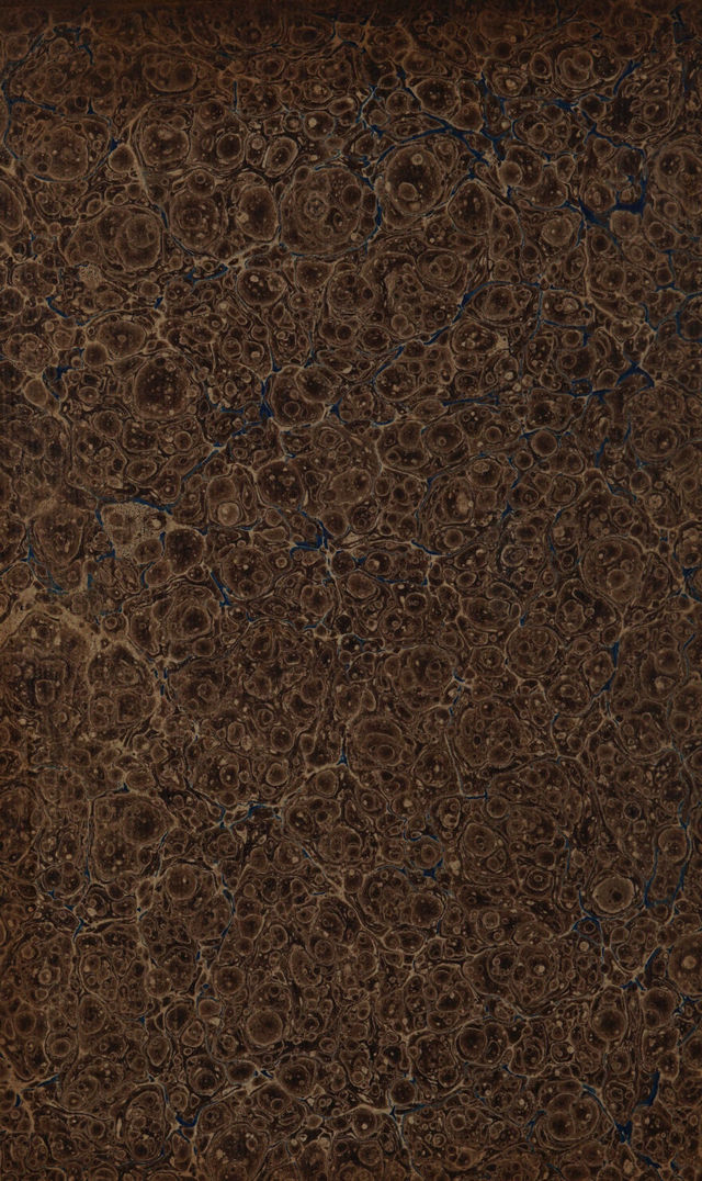 digitised image 2