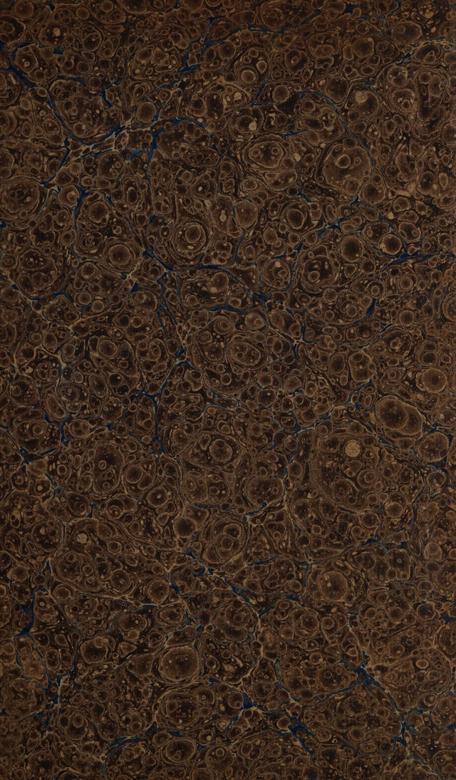 digitised image 3