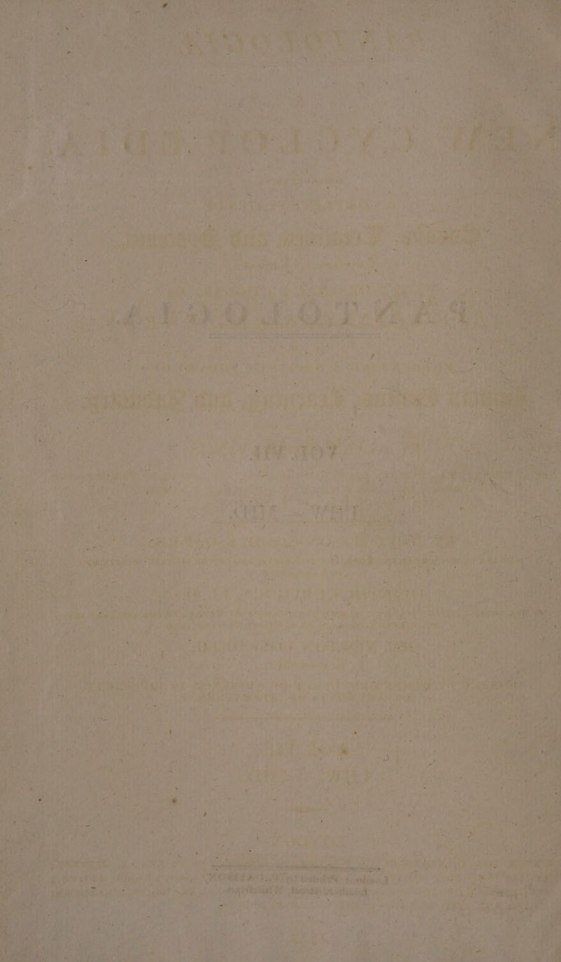 Lg Be eR ASE aS SO ‘ ‘ a sh \ if Ar ae ~ : &gt; Po PL ad PML TAR ia? ‘ 4 ye : y , ze: i ak ‘ha Sits | ‘ ea: » ‘ M ASSESS ca wa a ‘ J % ‘ sage &lt; € pra Ne Apres iy yaeate tee ‘ 7 y “ : Aly t ’ Ree ve t ve B sare a a te p: ia bg Aa e ee oer aN a a nt hy ‘x 0 hy er Wi leh Ue a as +&gt;