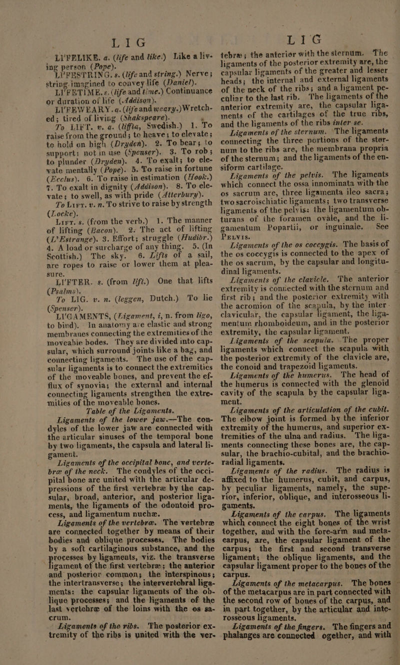 ee LI'FRLIKE. a. (life and like:) Like a liv- moe pete (Pope). VFESTRING. s. (life and string.) Nerve; string imagined to convey life (Daniel). LI'FETIME. s. (dife and time.) Continuance or duration of life (-4ddison). LI'FEWEARY.a. (lifeand weary.) Wretch- ed; tired of living (Shakspeare). , To LIKT. v. a. (liffta, Swedish.) 1. To raise from the ground; to heave; to elevate ; to hold on high (Dryden). 2. To bear; to support: not in use (Spenser). 3. To rob ; to plunder (Dryden). 4. To exalt; to ele- vate mentally (Pope). 5. To raise in fortune (Zeclus). 6. To raise in estimation (Hook.) 7. To exalt in dignity (Addison). 8. To ele- vate; to swell, as with pride (4tterbury). To Lirt. v. n. To strive to raise by strength (Locke). Lirvt. s. (from the verb.) 1. The manner of lifting (Bacon). 2: The act of lifting (L’Estrange). 3. Effort; struggle (Hudibr.) 4. A load or surcharge of any thing. 5. (In Scottish.) The sky. 6. Lifts of a sail, are ropes to raise or lower them at plea- sure. LIFTER. s. (from Jift.) One that lifts (Psalms), To LIG. v. n. (leggen, Dutch.) To lie (Spenser). LIGAMENTS, (Ligament, i, n. from ligo, to bind). In anatomy ave elastic and strong membranes connecting the extremities of the moveahie bodes. They are divided into cap- sular, which surround joints like a bag, and connecting ligaments. The use of the cap- sular ligaments is to connect the extremities of the moveable bones, and prevent the ef- flux of synovia; the external and internal connecting ligaments strengthen the extre- mities of the moveable bones. Table of the Ligaments. Ligaments of the lower jaw.—The con- dyles of the lower jaw are connected with the articular sinuses of the temporal bone by two ligaments, the capsula and lateral li- gament. Ligaments of the occipital bone, and verte- bra of the neck. The condyles of the occi- pital bone are united with the articular de- pressions of the first vertebre by the cap- sular, broad, anterior, and posterior liga- ments, the ligaments of the odontoid pro- cess, and ligamentum nuche. Ligaments of the vertebra. The vertebre are connected together by means of their bodies and oblique processes. The bodies by a soft cartilaginous substance, and the . police by ligaments, viz. the transverse ligament of the first vertebre; the anterior and posterior common; the interspinous ; the intertransverse; the intervertebral liga- ments: the capsular ligaments of the ob- lique processes; and the ligaments of the last vertebre of the loins with the os sa- crum. Ligaments of the ribs. ‘The posterior ex- tremity of the ribs is united with the ver- LIG tebra ; the anterior with the sternum. The ligaments of the posterior extremity are, the capsular ligaments of the greater and lesser heads; the internal and external ligaments of the neck of the ribs; and a ligament pe- culiar to the last rib. The ligaments of the anterior extremity are, the capsular liga- ments of the cartilages of the true ribs, and the ligaments of the ribs inter se. Ligaments of the sternum. ‘The ligaments connecting the three portions of the ster- num to the ribs are, the membrana propria of the sternum; and the ligaments of the en- siform cartilage. Ligaments of the pelvis. The ligaments which connect the ossa innominata with the os sacrum are, three ligamenta ileo sacra; two sacroischiatic ligaments; two transverse ligaments of the pelvis: the ligamentum ob- turans of ihe foramen ovale, and the li- gamentum Popartii, or inguinale. See PELVIS. . Ligaments of the os coccygis. The basis of the os coccygis is connected to the apex of the os sacrum, by the capsular and longitu- dinal ligaments. Ligaments of the clavicle. The anterior extremity is connected with the sternum and first rib; and the posterior extremity with the acromion of the scapula, by the inter. clavicular, the capsular ligament, the liga- mentum rhomboideum, and in the posterior extremity, the capsular ligament. Ligaments of the scapula. The proper ligaments which connect the scapula with the posterior extremity of the clavicle are, the conoid and trapezoid ligaments. . Ligaments of the humerus. The head of the humerus is connected with the glenoid — cavity of the scapula by the capsular liga- ment. ae Ligaments of the articulation of the cubit. The elbow joint is formed by the inferior extremity of the humerus, and superior ex- tremities of the ulna and radius. The liga- ments connecting these bones are, the cap- sular, the brachio-cubital, and the brachio- radial ligaments. ee Ligaments of the radius. The radius is affixed to the humerus, cubit, and carpus, by peculiar ligaments, namely, the supe- rior, inferior, oblique, and interosseous li- gaments. Ligaments of the carpus. The ligaments — which connect the eight bones of the wrist together, and with the fore-arm and meta- carpus, are, the capsular ligament of the carpus; the first and second transverse — ligament; the oblique ligaments, and the capsular ligament proper to the bones of the carpus. Ligaments of the metacarpus. of the metacarpus are in part connected with the second row of bones of the carpus, and in part together, by the articular and inte- rosseous ligaments. oe th Ligaments of the fingers. The fingers and phalanges are connected ogether, and with