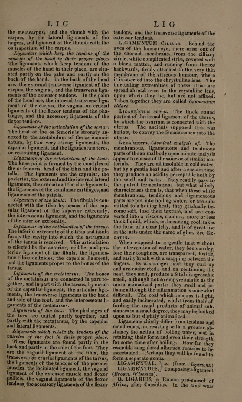 LIG the metacarpus; and the thumb with the carpus, by the lateral ligaments of the fingers, and ligament of the thumb with the os trapezium of the carpus. | Ligaments which keep the tendons of the muscles of the hand in their proper place. The ligaments which keep tendons of the muscles of the hand in their place, are situ- ated partly on the palm and partly on the back of the hand. In the back of the hand are, the external transverse ligament of the carpus, the vaginal, and the transverse liga- ments of the exiensor tendons. In the as of the hand are, the internal transverse liga- ment of the carpus, the vaginal or crucial ligaments of the flexor tendons of the pha- langes, and the accessory ligaments of the flexor tendons. Ligaments of the articulation of the semur. The head of the os femoris is strongly an- nexed to the acetabulum of the os innomi- natum, by two very strong ligaments, the capsular ligament, and the ligamentum teres, or restraining ligament. Ligaments of the articulation of the knee. The knee joint is formed by the condyles of the os femoris, head of the tibia and ihe pa- tella. The ligaments are the capsular, the osterior, the external and the internal lateral igaments, the crucial and the alar ligaments, the ligaments of the semilunar cartilages, and ligaments of the patella. Ligamenis of the fibula. The fibula is con- nected with the tibia by means of the cap- sular ligament of the superior extremity, the interosseous ligament, and the ligaments of the inferior extremity. LIngaments of the articulation of the tarsus. The inferior extremity of the tibia and fibula forms the cavity into which the astragalus of the tarsus is received. This articulation is effected by the anterior, middle, and pos- _ terior ligament of the fibula, the lizamen- _ tum tibia deltoides, the capsular ligament, and the ligaments proper to the bones of the tarsus. Ligaments of the metatarsus. The bones of the metatarsus are connected in part to- gether, and in part with the tarsus, by means of the capsular ligament, the articular liga- ments, the transverse ligaments in the back and sole of the foot, and the interosseous li- - gaments of the metatarsus. muscles, the laciniated ligament, the vaginal ligament of the extensor muscle and flexor Pollicis, the vaginal ligaments of the flexor tendons, the accessory ligaments of the flexor LIG tendons, and the transverse ligaments of the extensor tendons. LIGAME’NTUM Cixiare. | Behind the uyea of the human eye, there arise out of the choroid membrane, from the cilliary circle, white complicated strie, covered with a black matter, and running from thence backwards, firmly attached to the very thin membrane of the vitreous humour, where it is inserted into the chrystalline lens. The fluctuating extremities of these striz are spread abroad even to the crystalline lens, upon which they lie, but are not affixed, Taken together they are called ligamentum ciliare. Ligame ntum ovarii. The thick round portion of the broad ligament of the uterus, by which the ovarium is connected with ihe uterus. The ancients supposed this was hollow, to convey the female semen into the uterus, Lyca'ments, Chemical analysis of. The membranous, ligamentous and tendinous parts of the animal body upon minute analysis appear to consist of the same or of similar ma- terials. They are all insoluble in cold water, but by a gentle heat and after a ceriain time they produce an acidity perceptible both by the smell and taste. They readily pass to the putrid fermentation; but what chiefly characterises them is, that when these white membranous, tendinous and ligamentous parts are put into boiling water, or are sub- mitted to a boiling heat, they gradually be- come soft, lose their texture, and are con- verted into a viscous, clammy, more or less thick liquid, which, on becoming cool, takes the form of a clear jelly, and is of great use in the arts under the name of glue. See Gr. LATIN, When exposed to a gentle heat without the intervention of water, they become dry, lose their toughnes, are transparent, brittle, and easily break with a snapping between the fingers. By a stronger heat they curl up and are contracted; and on continuing the - heat, they melt, produce a fetid disagreeable smeil, although not so empyreumatic as the more animalized parts: they swell and in- flame although the inflammation is somewhat difficult, The coal which remains is light, and easily incinerated, whilst from their af- fording the usual products of animal sub. stances in a small degree, they may be looked upon as but slightly animalized. Ligaments chiefly ditfer from tendons and membranes, in resisting with a greater ob- stinacy the action of boiling water, and in retaining their form and even their strength for some time after boiling. How far the resemble coagulated albumen remains to be ascertained. Perhaps they will he found to form a separate genus. LIGAME'NTAL, LIGAM RNTOUS. y (Brown. Wiseman). Q. LIGARIUS, a Roman pro-consul of Africa, after Considius. In the civil wars a. (from Ligament.) Composing aligament