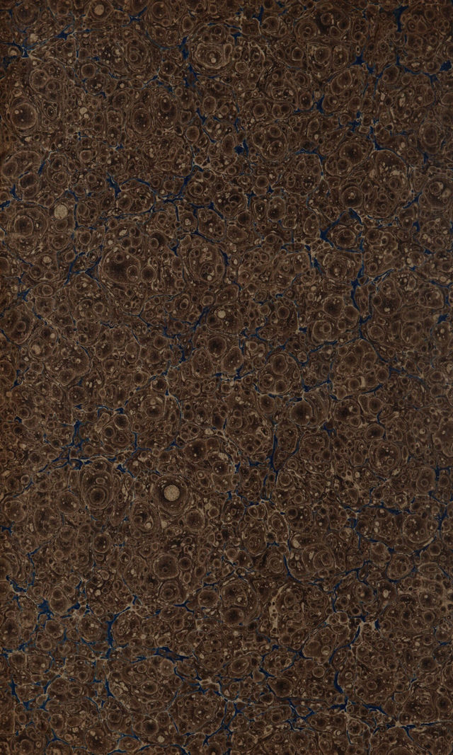 digitised image 2