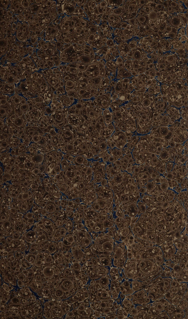 digitised image 3