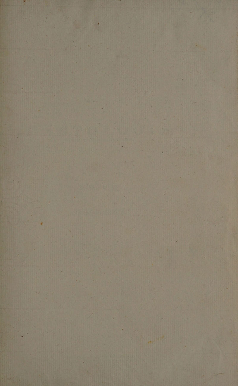 Padang ceveatanas, bo te an ee a cooing eres ime bey © er honing ging rety dha ess ei ao Soper teers eer es 2 hone, ge “ \ aan’ “ y ante ome Apne oe a ee ea 7. ‘ Salone vom *