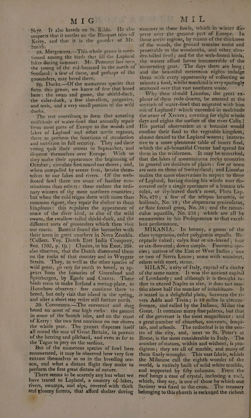 Skyé. Tt also breeds on St. Kilda. He also ‘ suspects that it nestles on the Blasquet isles off Kerry, and that it is the gourder: of Mr. Smith. | 28. Mergansers.-—This whole genus is men- tioned among the birds that_fill the Lapland lakes during summer. Mr. Pennant has seen the young of the red-breasted in the north of Scotland: a few of these, and perhaps of the ‘goosanders, may breed there. 29. Ducks.—Of the numerous species that ‘form this genus, we know of few that breed here: the swan and goose, the shield-duck, the eider-duck, a few shovellers, garganies, and teals, and a very small portion of the wild ducks. The rest contribute to form that amazing multitude of water-fowl that annually repair from most parts of Europe to the woods and lakes of Lapland and other arctic regions, there to perform the functions of incubation and nutrition in full security. They and their voung quit their retreat im Septeinber, and disperse themselves over Europe. With us they make their appearance the beginning of October ; circulate first round our shores; and, when compelled by severe frost, betake them- selves to our lakes and rivers.. Of the web- footed fowl there are some of hardier con- stitutions than othcrs: these endure the ordi- nary winters of the more northern countries ; but when the cold reigns there with more than common rigour, they repair for shelter to these kingdoms: this regulates the appearance of some of the diver kind, as also of the wild swans, the swallow-tailed shield-duck, and the different sorts of gcoosanders which then visit our coasts. Barentz found the barnacles with their nests in great numbers in Nova Zeinbla. (Collect. Voy. Dutch East India Company, 8vo. 1703, p. 19.) Clusius, in his Exot. 368. also observes, that the Dutch diseovered them Straits. They, as well as the other species of wild geese, go very far north to breed, as ap- pears from the histories of Greenland and Spitzbergen, by Egede and Crantz. These birds seem to make Iceland a resting-place, as Horrebow observes: few continue there to breed, but only visit that island in the spring, avd after a short stay retire still further north, 30. Corvorants.—The corvorant and shag breed on most of our high rocks: the gannet in some of the Scotch isles, and on the coast of Kerry: the two first continue on our shores the whole year. The gannet disperses itself all round the seas of Great Britain, in pursnit of the herring and pilchard, and even as far as the Tagus to prey on the sardina, But of the numerous species of fowl here. _ enumerated, it may be observed how very few entrust themselves to us in the breeding sea- son, and what a distant flight they make to perform the first great dictate of nature. There seems to be scarcely any but what we have traced to Lapland, a country of-lakes, rivers, swamps, and alps, covered with thick and gloomy forests, that afford shelter during ®t MIL summer to these fowls, which in winte? dis- perse over the greatest part of Europe. In those arctic regions, by reason of the thickness of the woods, the ground remains moist and penetrable to the woodeocks, and other, slen- der-billed fowl; and for the web-footed birds, the waters afford larves innumerable of the ‘tormenting gnat. The days there are long; and the beautiful meteorous nights indulge them with every opportunity of collecting so minute a food, whilst mankind is very sparingly scattered over that vast northern waste. Why then should Linnéus, the great ex- plorer of these rude deserts, be amazed at the myriads of water-fowl that migrated with him the army of Xerxes; covering for eight whole days and nights the surface of the river Calix! His partial observation as a botanist would confine their food to the vegetable kingdom, almost denied to the Lapland waters; inatten- tive to a more plenteous table of insect food, which the all-bountiful Creator had spread for them in the wilderness. . It may be remarked, that the lakes of mountainous rocky countries in general are destitute of plants: few or none are seen on those of Switzerland; and Linnéus , makes the same observation in respect ‘to those of Lapland, having during his whole tour dis- covered only a single specimen of a lemma trt- sulea, or ivy-leaved duck’s meat, Flora Lap. No. 470; a few of the scirpus lacustris, or bullrush, No. 18; the alopecurus geniculatus, or flote foxtail grass, No. 38; and the ranun- culus aquatilis, No. 234; whieh are all he enumerates in his Prolegomena to that excel- lent performance, MIKANIA. In botany, a genus of the class syngenesia, order polygarmia equalis. -Re- ceptacle naked ; calyx four or six-leaved ; four or six-flowered ; down simple. Fourteen spe- cies; natives of the East or West Indies ; one or two of Sierra Leone; some with scandent, others with erect, stems. . MILAN, acity of Italy, capital ofa duchy ofthe samename. It -was the ancient capital of Lombardy; and although it is thought ra- ther to exceed Naples in size, it does not con- tain above half the number of inhabitants. Jt is seated in a delightful plain, between the ri- vers Adda and Tesin; is 10 miles in circum- ° ference, and called by the Italians, Milan the Great. It contains many fine palaces, but that of the governor is the most magnificent: and a great number of churehes, convents, hospi- tals, and schools. ‘The cathedral 1s in the cen- tre of the city, and, next to St. Peter’s at Rome, is the most considerable in Italy.. ‘The number of statues, within and without, is pro- digious; they are all of marble, and many of them finely wrought. This vast fabric, which the Milanese call the eighth wonder of the world, is entirely built of solid white marble, and supported by fifty columns. From the which, they say, is one of those by which our Saviour was fixed to the cross. The treasury belonging to this church is reckoned the richest