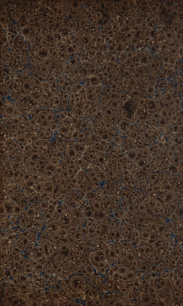 digitised image 2