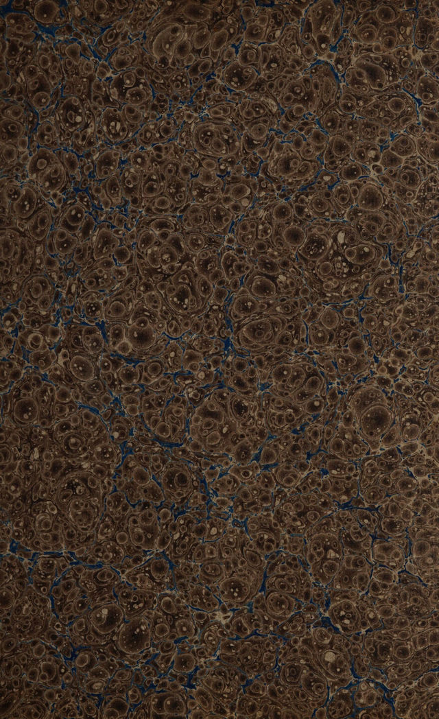 digitised image 3