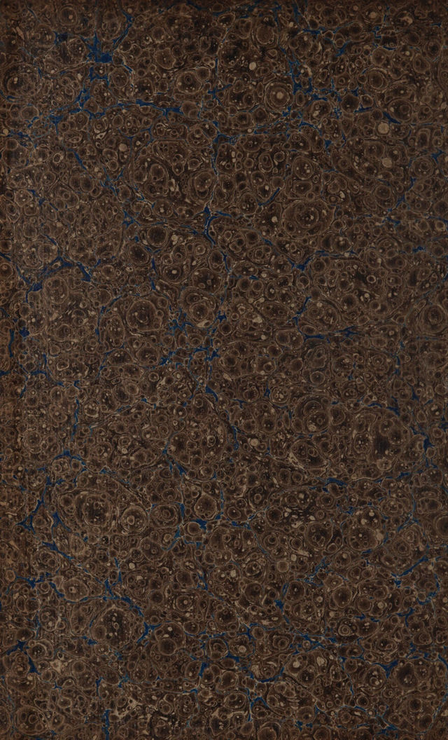 digitised image 2