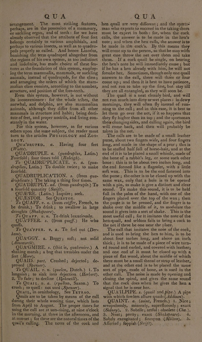 arrangement. The most striking features, perhaps, are in the possession of a mammary, or suckling organ, and of teeth: for we have already observed that the attribute of four feet belongs certainly to various amphibials, and perhaps to various insects, as well as to quadru- eds properly so called. And hence Linnéus, eee the term quadruped altogether from the regions of his own system, as too indistinct and indefinite, has made choice of these fea- tures as the foundation of this system, employ- ing the term mammalia, mammals, or suckling animals, instead of quadrupeds, for the class; and arranging the orders of which the mam- malian class consists, according to the number, structure, and position of the fore-teeth. Even this system, however, is not without its inconvenience: for the whale tribes, the natwhal, and dolphin, are also mammalian animals, although they differ from all other mammals in structure and habit; being desti- tute of feet, and proper nostrils, and living con- stantly in the water. j For this system, however, as for various others upon the same subject, the reader must turn to the articles PaysroLocy and Zoo- LOGY. QuA'DRUPED, 4a. (Watts). QUA’DRUPLE. a. (quadruplus, Latin.) Fourfold ; four times told (Raleigh). ‘To QUADRU’'PLICATE. v. a. (qua- druplico, Latin.) 'To double twice; to make fourfold. | QUADRUPLICA’TION. s. (from qua- druplicate.) The taking a thing four times. QUA'DRUPLY. ad. (from quadruple.) To a fourfold quantity (Swf). ) QU A’RE. (Latin.) Inquire; seek. OUZESTOR. See QuEsTor. Lo QUAFFE. v. a. (from co¢fer, French, to be drunk,).To drink; to swallow in large draughts (Shakspeare). To QuarFF. v.n. To drink luxuriously. Having four feet QUA’/FFER. s. (from guaff:) He who quatts. To Qua’FFER. v @. To feel out (Der- ham). QUA’/GGY. a. Boggy; soft; not. solid (Ainsworth): . QUA’GMIRE. s. (that is, guakemire.) A shaking marsh; a bog that trembles under the feet (More). QUAID. part. Crushed; dejected; de- pressed (Spenser). | To QUAIL. v. n. (guelen, Dutch.) 1. To languish; to sink into dejection (Herbert). 2. To fade; to decline (Hakewill). To QuaiL. v. a. (cpellan, Saxon.) To erush ; to quell: not used (Spenser). QuaiL, in ornithology. See TeTrRaAo. Quails are to be taken by means of the call during their whole wooing time, which lasts from April to August. The proper times for using the call are at sun-rising, at nine o’clock in the morning, at three in the afternoon, and at sun-set ; for these are the natural times of the quail’s calling. The notes of the cock and hen quail are very different; and the sports man who expects to succeed in the taking them must be expert in both: for, when the cock calls, the answer is to be made in the hen’s note; and when the hen calls, the answer is to By this means they will come up to the person, so that he may with great ease throw the net over them and take them. If a cock quail be single, on hearing the hen’s note he will immediately come 5; but if he has a hen already with him, he will not forsake her, Sometimes, though only one quail answers to the call, there will three or four come up; and then it is best to have patience, and not run to take up the first, but stay till they are all entangled, as they will soon be. ‘The quail is a neat cleanly bird, and will not run much into dirty or wet places: indewy mornings, they will often fly instead of run- ning to the call; and in this case, it is best to let them go over the net, if it so happens that them changing sides, and calling again, the bird will come back, and then will probably be taken in the net. The calls are to be made of a small leather purse, about two fingers wide, and four fingers long, and made in the shape of a pear ; this is to be stuffed half full of horse-hair, and at the end of it is to be placed a small whistle, made of the bone of a rabbit’s leg, or some such other bone: this is to be about two inches long, and the end formed like a flageolet, with a little soft wax. This is to be the end fastened into the purse; the other is to be closed up with the same wax, only that a hole is to be opened with a pin, to make it give a distinct and clear sound. To make this sound, it is to be held full in the palm of the hand, with one of the fingers placed over the top of the wax; then the purge is to be pressed, and the finger is ta shake over the middle of it, to modulate the sound it gives into a sort of shake. . This is the most useful call; for it imitates the note of the hen-quail, and seldom fails to bring a cock to the net if there be one near the place. The call that imitates the note of the cock, and is used to bring the hen to him, is to be about four inches long, and above an. inch thick; it is to be made of a piece of wire turn- ed round and curled, and covered with leather; and one end of it must be closed up with a piece of flat wood, about the middle of which there must be a small thread or strap of leather, and at the other end is to be placed the same other call. The noise is made by opening and closing the spiral, and gives the same sound that the cock does when he gives the hen. a signal that he is near her. QUA'ILPIPE. s. (guazl and pipe.) A pipe with which fowlers allure quails (4ddison). QUAINT. a. (coin, French.) 1. Nice; scrupulously, minutely, superfluously ; exact (Sidney). 2%. Subtile; artful: obsolete (Cha.). 3. Neat; pretty; exact (Shakspeare). 4. Subtly excogitated; finespun (Milton). 4. ol