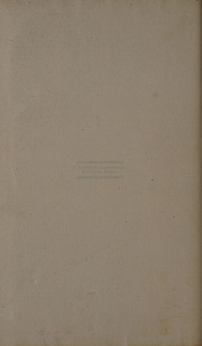 rei i reas Ay Kanab | beet ay t ‘ “ Pad 4 ~~ A ay agiip ec ra , <p Fee - mn ¢ . = eds SET at aa
