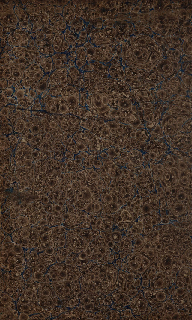 digitised image 2