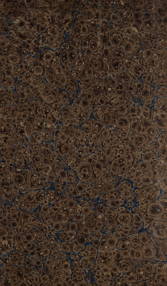 digitised image 3