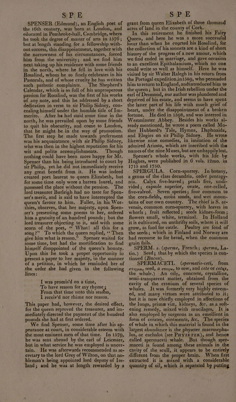 SPENSER (Edmund), an English poet of the 16th century, was born at London, and educated in Pembroke-hall, Cambridge, where he took the degree of master of arts in 1576; but at Jength standing for a fellowship with- out success, this disappointment, together with the narrowness of his circumstances, forced him from.the university; and we find him next taking up his residence with some friends in the north, where he fell in love with his Rosalind, whom he so finely celebrates in his Pastorals, and of whose cruelty he has written such) pathetic complaints. The Shepherd’s Calendar, which is so full of his unprosperous passion for Rosalind, was the first of his works of any note, and this he addressed by a short dedication in verse to sir Philip Sidney, con- cealing himself under the humble title of Im- merito. After he had staid some time in the north, he was prevailed upon by some friends to quit his obscurity, and come to London, that he might be in the way of promotion. The first step he made towards preferment was his acquaintance with sir Philip Sidney, who was then in the highest reputation for his wit and polite accomplishments. Though nothing could have been more happy for Mr. Spenser than his being introduced to court by sir Philip, yet he did not immediately receive any great benefit from it. He was indeed created poet laureat to queen Elizabeth, but for some time only wore a barren laurel, and ossessed the place without the pension. The ord treasurer Burleigh had no taste for Spen- ser’s merit, and is said to have intercepted the queen’s favour to him. Faller, in his Wor- thies, observes, that her majesty, upon Spen- ser’s presenting some poems to her, ordered him a gratuity of an hundred pounds; but the lord treasurer objecting to it, said with some scorn of the poet, ** What! all this for a song?’’ To which the queen replied, «* Then give him what is reason.” Spenser waited for some time, but had the mortification to find himself disappointed of the queen’s bounty. Upon this he took a proper opportunity to present a paper to her majesty, in the manner of a petition, in which he reminded her of a order she had given in the following ines: I was promis’d on a time, To have reason for my rhyme ; From that time unto this seagon, I receiv’d nor rhime nor reason. This paper had, however, the desired effect, for the queen reproved the treasurer, and im- mediately directed the payment of the hundred pounds she had at first ordered. We find Spenser, some time after his ap- pearance at court, in considerable esteem with the most eminent men of that time. In 1579, he was sent abroad by the, earl of Leicester, but in what service he was employed is uncer- tain. He was afterwards recommended as se- cretary to the lord Grey of Wilton, on that no- bleman’s being appointed lord deputy of Ire- land; and he was at length rewarded by a grant from queen Elizabeth of three thousand acres of land in the county of Cork. In this retirement he finished his Fairy Queen, and here he was a more successful jover than when he courted his Rosalind, for the collection of his sonnets are a kind of short history of the progress of a new amour, which we find ended in marriage, and gave occasion to an excellent Epithalamium, which no one could write so well as himself. Here he was visited by sir Walter Ralegh in his return from the Portugal expedition.in1589, who persuaded him to return to England, andintroduced him to the queen ; but in the Irish rebellion under the earl of Desmond, our author was plundered and deprived of his estate, and seems to have spent the latter part of his life with much grief of heart, under the disappointment of a broken fortune. He died in 1598, and was interred in Westminster Abbey. Besides his works al- ready mentioned, he wrote a poem called Mo- ther Hubberd’s Tale, Hymns, Daphnaida, and Elegies on sir Philip Sidney. He wrote likewise nine comedies, in imitation of the admired Ariosto, which are inscribed with the names of the nine Muses, but are unhappily lost. Spenser’s whole works, with his life. by Hughes, were published in 6 vols. 12mo. in 1715 and 1750. SPERGULA. Corn-spurrey. In botany, a genus of the class decandria, order pentagy- nia, Calyx five-leaved; petals five, undi- vided; capsule superior, ovate, one-celled, five-valved. Seven species; four common to the corn-fields, moist sands, and wet moun- tains of our own country. The chief is S. ar- vensis, common corn-spurrey, with leaves in whorls; fruit reflected; seeds kidney-form ; flowers smal], white, terminal. In Holland it is cultivated, on unthrifty soils, where it will grow, as food for cattle. Poultry are fond of the seeds; which in Finland and Norway are had recourse to for bread, when the common rain fails. SPERM. s. (sperme, French; sperma, La- tin.) Seed; that by which the species is con- tinued (Bacon). . SPERMACETI. (spermatis-ceti, from ona, seed, @ omepw, to sow, and cee or cetys, the whale.) An oily, concrete, crystalline, semi-transparent matter, obtained from the cavity of the cranium of several species of whales. It was formerly very highly esteem- ed, and many virtues were attributed to it; but it is now chiefly employed in affections of the lungs, prima vie, kidneys, &amp;c. asa soft- - ening remedy, mixed with mucilages, It is also employed by surgeons as an emollient in form of cerates, ointments, &amp;c, The species of whale in which this material is found in the largest abundance is the physeter macrosepha- lus, or cachalot (see PHYSETER), and hence called spermaceti whale. But though sper- maceti 1s found among these animals in the cavity of the scull, it appears to be entirely different from the proper brain. When first extracted it is mixed with a considerable quantity of oil, which is separated by putting