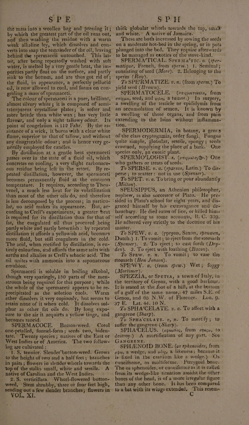 the mass into a woollen bag and pressing it; by which the greatest part of the oil rans out, and then washing the residue with a warm weak alkaline ley, which dissolves and con- yerts into soap the remainder of the oil, leaving behind the spermaceti untouched. his lat- ter, after being repeatedly washed with soft water, is melted by a very gentle heat, the im- purities partly float on the surface, and partly sink to the bettom, and are thus got nid of; the fluid, in appearance, a perfectly pellucid oil, is now allowed to cool, and forms on con- gealing a mass of spermaceti. ‘The colour of spermaceti is a pure, brilliant, almost silvery white; it is composed of semi- transparent crystalline plates; is softer and more brittle than white wax; has very little flavour, and only a sight tallowy odour. Its point of congelation is 112 Fahr. By the as- sistance of a wick, it burns with a clear white flame, superior to that of tallow, and without any disagreeable odour; and is hence very ge- nerally employed for candles. ‘By distillation at a gentle heat spermaceti concretes on cooling, a very slight carbonace- ous residue being left in the retort. By re- peated distillation, however, the spermaceti becomes permanently fluid at the common temperature. It requires, according to Theu- venel, a much less heat for its volatilization than most of the other oils do, and therefore is less decomposed by the process; in particu- lar, no acid makes its appearance. But, ac cording to Crell’s experiments, a greater heat fat, the coagulated oil thus procured being partly white and partly brownish: by repeated distillation it affords a yellowish acid, becomes more fluid, but still coagulates in the cold. The acid, when rectified by distillation, is en- tirely colourless, and affords the same salts with eatths and alkalies as Crell’s sebacic acid. The oil unites with ammonia into a saponaceous emulsion. — . Spermaceti is soluble in boiling alkohol, though very sparingly, 150 parts of the men- _ struum being required for this purpose ; while the whole of the spermaceti appears to be re- precipitated as the solution cools. Warm ether dissolves it very copiously, but seems to retain none of it when cold. It dissolves sul- phur as other fat oils do. By long expo- becomes rancid. SPERMACOCE. Button-weed. Corol , one-petalled, funnel-form; seeds two, biden- _ tate. Twenty species; natives of the East or West Indies or of America. ‘The two follow- ing aye cultivated : | $43 1. S, tenuior. Slender*button-weed. Grows in pairs ; flowers in slender whorls towards the top of the stalks small, white and sessile. A _ native of Carolina and the West Indies. &gt; 2.8. verticillata. -Whorl-flowered button- weed, Stem shrubby, three or four feet high, sending out a few slender branches; flowers in YOL, XI. thick globular whorls towards the top, smal! and white.’ A native of Jamaica. ‘These are both increased by sowing the seeds on a moderate hot-bed in the spring, or in pots plunged into the bed. They require afterwards to be managed as exotics of the stove-kind. SPERMA/TICAL. Sperma/TIc. a. (sper- matigue, French, from sperm.) 1. Seminal; consisting of seed (More), 2, Belonging to the sperm (Ray). J ik To SPE/RMATIZE, v. n. (from sperm.) To ield seed (Brown). SPERMATOCELE. (onspuerounn, from a swelling of the testicle or epididymis from an accumulation of semen. It is known by extending to the loins without inflamma. ‘SPERMODERMIA, in botany, a genvs of the class cryptogamia, order fungi. Fungus quite simple, globular, sessile, spongy ; seeds” crowned, supplying the place of a bark. One spectes only, an exotic plant. SPERMO’LOGIST..8. (orepucroy@.) One To SPERSE. v. a. (sparsus, Latin.) To diss perse ; to scatter: notin use (Spenser). To SPET. v. a. To bring or pour abundantly (Milton). SPEUSIPPUS, an Athenian philosopher, nephew, as also successor of Plato. He pre- graced himself by his extravagance and de- He adhered very strictly to the doctrine of his master. ; To SPEW. v. a. (ppepan, Saxon, spenwen, | Dutch.) 1. To vomit; to eject from the stomach (Spenser). 2. To eject; to cast forth (Dry- &gt; To Sprzew. v. n. To vomit; to ease the stomach (Ben Jonson). SPE/WY. a. (from spew.) (Mortimer). SPEZZIA, or Spetia, a town of Italy, in the territory of Genoa, with a good: harbour. It is seated at the foot of a hill, at the bottom of a gulf of the same. name, 47 miles S.E. of Genoa, and 65 N.W. of Florence. Lon. g, 37 FE. Lat. 44. 10 N. To SPHA/CELATE. »v. a. To affect with a gangrene (Sharp). To Spua’ceLaTe. v, m. To martify; to Wet 5 foggy SPHA’CELUS. (opentros, from ¢tacw, to: destroy.) A mortification of any part. See GANGRENE. . -SPHASNOID BONE. (0s sphenoides, from age, a wedge, and edocs a likeness; because it is fixed in the cranium like a wedge.) Os Pterygoid bone. The os sphenoides, or cuneiforme as it is called from its wedge-like situation arnidst the other bones of the head, is of a more irregular figure than any other bone, » It has been compared to a bat with its wings extended, ret resem-