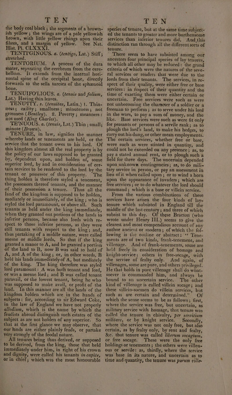 the body coal black ; the segments of a brown- ish yellow ; the wings are of a pale yellowish brown, with little yellow risings upon their fibres, and a margin of yellow. See Nat. Hist. Pi. CLXXXI. ' TENTI'GINOUS. a. (éentigo, Lat.) Stiff; stretched. TENTORIUM. A process of the dura mater, separating the cerebrum from the cere- bellum. It extends from the internal hori- zontal spine of the occipital bone, directly forwards to the sella turcica of the sphenoid bone. TENUIFO'LIOUS. a. (éenuis and folium, Lat.) Having thin leaves. TENUIMTY. s. (¢enuitas, Latin.) 1. Thin- ness; exility; smallness; minuteness; not grossness (Bentley). 2. Poverty ; meanness: not used (Aing Charles). TE’NUOUS. a. (tenuis, Lat.) Thin ; small; minute (Brown). _ TENURE, in law, signifies the manner whereby lands or tenements are held, or the service that the tenant owes to his lord. Of this kingdom almost all the real property is by the policy of our laws supposed to be granted by, dependent upon, and holden of, some superior lord, by and in consideration of cer- tain services to be rendered to the lord by the tenant or possessor of this property. The thing holden is therefore styled a tenement, the possessors thereof tenants, and the manner of their possession a tenure. Thus all the land of the kingdom is supposed to be holden, mediately or immediately, of the king ; who is styled the lord paramount, or above all. Such tenants as held under the king immediately, when they granted out portions of the lands to inferior persons, became also lords with re- spect. to those inferior persons, as they were still tenants with respect to the king; and, thus partaking of a middle nature, were called mesne or middle lords, So that if the king ranted a manor to A, and he granted a portion of the land to B, now B was said to hold of A, and A of the king; or, in other words, B held his lands immediately of A, but mediately of the king. The king therefore was styled Jord paramount: A was both tenant and lord, or was a mesne lord; and B was called tenant paravail, or the lowest tenant, being he who was supposed to make avail, or profit of the land. In this manner are all the lands of the kingdom holden which are in the hands of subjects: for, according to sir Edward Coke, in the law of England we have not properly allodium, which is the name by which the feudists abroad distinguish such estates of ‘the subject as are not holden of any superior. So that at the first glance we may observe, that our fands are either plainly feuds, or partake yery strongly of the feodal nature. All tenures being thus derived, or supposed to be derived, from the king, those that held immediately under him, in right of his crown _ and dignity, were called his tenants in capite, or in chief; which was the most honourable species of tenure, but at the same time subject- ed the tenants to greater and more burthensome services than inferior tenures did, ‘Aud_this distinction ran through all the different sorts of tenure. _ There seem to have subsisted among our ancestors four principal species of lay tenures, to which all other may be reduced: the grand criteria of which were the natures of the seve- ral services or renders that were due to the lords from their tenants. The services, in re- spect of their quality, were either free or base services: in respect of their quantity and) the time of exacting them were either certain or uncertain. Free services were such as were not unbecoming the character of a soldier or a freeman to perform ; as to serve under his lord in the wars, to pay a sum of money, and the like. Base services were such as were fit only for peasants or persons of a servile rank; as to plough the jord’s land, to make his hedges, to carry out his dung, or other mean employments. The certain services, whether free or base, were such as were stinted in quantity, and could not be exceeded on any pretence; as, to pay a stated annual rent, or to plough such a field for three days. The uncertain depended upon unknown contingencies; as, to do mili- tary service in person, or pay an assessment in lieu of it when called upon; or to wind a horn upon the appearance of invaders; which are free services ; or to do whatever the lord should command; which is a base or villein service. From the various combinations of these services have arisen the four kinds of lay- tenure which subsisted in England till the middle of the last century ; and three of which subsist to this day. Of these Bracton (who wrote under Henry III.) seems to give the clearest and most compendious account of any author ancient or modern; of which the fol- lowing is the outline or abstract: ‘* Tene- ments are of two kinds, frank-tenement, and villenage. And of frank-tenements, some are held freely in consideration of homage and knight-service; others in free-socage, with the serviee of fealty only. And again, of villenages, some are pure, and others privileged, He that holds in pure villenage shall do what- soever is commanded him, and always be bound to an uncertain service. The other kind of villenage is called villein sccage; and these villein-soemen do villein services, but such as are certain and determined.” Of which the sense seems to be as follows; first, where the service was free, but uncertain, as military service with homage, that tenure was milttare, ot by knight service. Secondly, where the service was not only free, but also certain, as by fealty only, by rent and fealty, &amp;c. that tenure was called liberum socagium, or free socage. These were the only free holdings or tenements ; the others were villen- ous or servile: as, thirdly, where the service was base in its nature, and uncertain as to time and quantity, the tenure was purum ville-