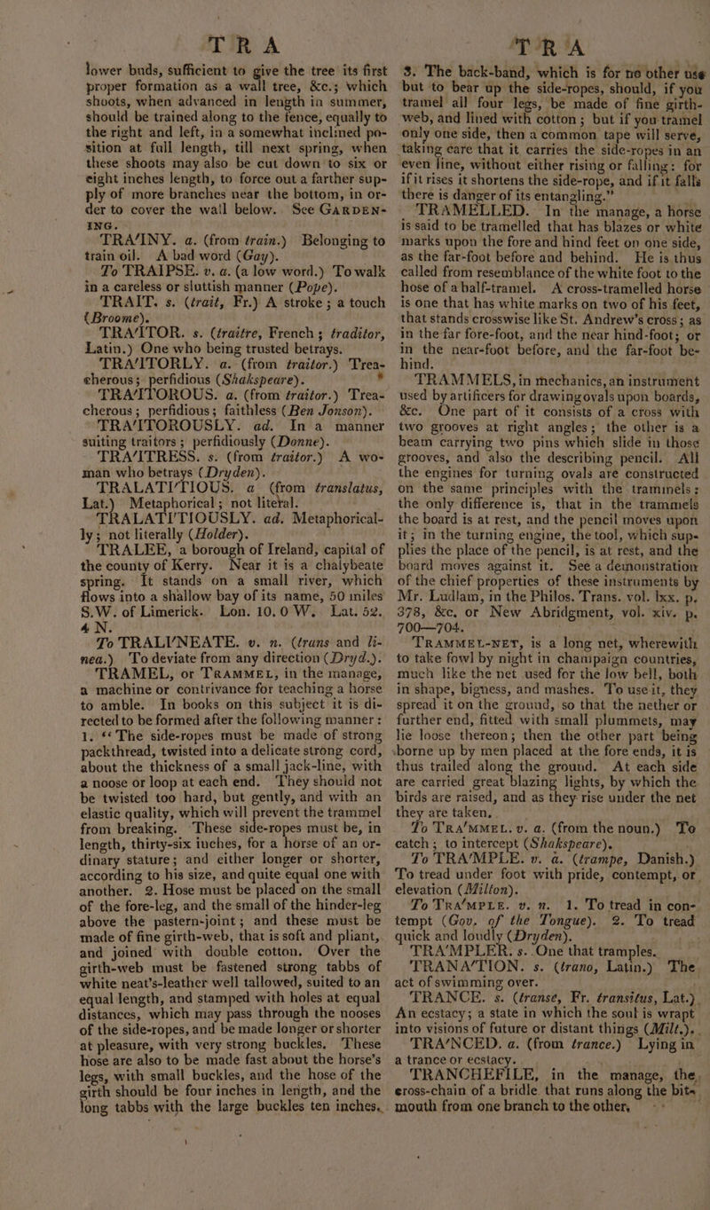 lower buds, sufficient to give the tree its first proper formation as a wall tree, &amp;c.; which shoots, when advanced in length in summer, should be trained along to the fence, equally to the right and left, in a somewhat inclined po- sition at full length, till next spring, when these shoots may also be cut down to six or eight inches length, to force out a farther sup- ply of more branches near the bottom, in or- der to cover the wail below. See GARDEN- ING. TRA/INY. a. (from train.) Belonging to train oil. A bad word (Gay). To TRAIPSE. v. a. (a low word.) To walk in a careless or sluttish manner (Pope). TRAIT. s. (trait, Fr.) A stroke ; a touch (Broome). TRA‘ITOR. s. (trattre, French ; ¢raditor, Latin.) One who being trusted betrays. TRA/ITORLY. a. (from traitor.) Trea- eherous; perfidious (Shakspeare). 4 TRA‘TITOROUS. a. (from ¢raiéor.) Trea- cherous ; perfidious; faithless (Ben Jonson). TRA‘ITOROUSLY. ad. In a manner suiting traitors ; perfidiously (Donne). TRA/ITRESS. s. (from ¢raitor.) A wo- man who betrays (Dryden). TRALATI’TIOUS. a (from ¢ranslatus, Lat.) Metaphorical ; not literal. TRALATI/TIOUSLY. ad. Metaphorical- ly; not literally (Holder). TRALEE, a borough of Ireland, capital of the county of Kerry. Near it is a chalybeate spring. It stands on a small river, which flows into a shallow bay of its name, 50 miles’ S.W. of Limerick. Lon. 10.0 W.. Lat. 52. 4.N. To TRALVNEATE. vw. 2. (frans and li- nea.) To deviate from any direction (Dryd.). TRAMEL, or TRamMEL, in the manage, a machine or contrivance for teaching a horse to amble. In books on this subject it is di- rected to be formed after the following manner : 1. ** The side-ropes must be made of strong packthread, twisted into a delicate strong cord, about the thickness of a small jack-line, with a noose or loop at each end. ‘They should not be twisted too hard, but gently, and with an elastic quality, which will prevent the trammel from breaking. ‘These side-ropes must be, in length, thirty-six inches, for a horse of an or- dinary stature; and either longer or shorter, according to his size, and quite equal one with another. 2. Hose must be placed on the small of the fore-leg, and the small of the hinder-leg above the pastern-joint; and these must be made of fine girth-web, that is soft and pliant, and joined with double cotton, Over the girth-web must be fastened strong tabbs of white neat’s-leather well tallowed, suited to an equal length, and stamped with holes at equal distances, which may pass through the nooses of the side-ropes, and be made longer or shorter at pleasure, with very strong buckles. These hose are also to be made fast about the horse’s legs, with small buckles, and the hose of the girth should be four inches in length, and the long tabbs with the large buckles ten inches, 3. The back-band, which is for ne other use but ‘to bear up the side-ropes, should, if you tramel all four legs, be made of fine girth- only one side, then a common tape will serve, even line, without either rising or falling: for if it rises it shortens the side-rope, and if it falls there is danger of its entangling.” _ TRAMELLED. In the manage, a horse is said to be tramelled that has blazes or white marks upon the fore and hind feet on one side, as the far-foot before and behind. He is thus ealled from resemblance of the white foot to the hose of ahalf-tramel. A cross-tramelled horse is one that has white marks on two of his feet, that stands crosswise like St. Andrew’s cross; as. in the far fore-foot, and the near hind-foot; or in the near-foot before, and the far-foot be- hind. TRAMMELS, in mechanics, an instrument used by artificers for drawing ovals upon boards, &amp;c. One part of it consists of a cross with two grooves at right angles; the other is a beam carrying two pins which slide in thos¢ grooves, and also the describing pencil. All the engines for turning ovals are constructed on the same principles with the trammmels; the only difference is, that in the trammels the board is at rest, and the pencil moves upon it; in the turning engine, the tool, which sup- plies the place of the pencil, is at rest, and the board moves against it. See a demonstration of the chief properties of these instruments by Mr. Ludlam, in the Philos. Trans. vol. Ixx. p. 378, &amp;c, or New Abridgment, vol. xiv. p, 700—704. TRAMMEL-NET, is a long net, wherewith to take fowl by night in chanipaign countries, much like the net used for the low bell, both in shape, bigness, and mashes. To use it, they spread it on the ground, so that the nether or further end, fitted with small plummets, may lie loose thereon; then the other part being thus trailed along the ground. At each side are carried great blazing lights, by which the birds are raised, and as they- rise under the net they are taken, To TRA'MMEL. v. a. (from the noun.) Te catch ; to intercept (Shakspeare), To TRA'MPLE. wv. a. (trampe, Danish.) To tread under foot with pride, contempt, or. elevation (Milton). . To TRAMPLE. v. 2. tempt (Gov. of the Tongue). quick and loudly (Dryden). TRA’MPLER. s..One that tramples. TRANA/‘TION. s. (érano, Latin.) The, act of swimming over. . TRANCE. s. (éranse, Fr. transitus, Lat.)_ An ecstacy; a state in which the sout is wrapt into visions of future or distant things (Milt.). . TRA‘’NCED. a. (from érance.) Lying in atranceor ecstacy. . ’ TRANCHEFILE, in the manage, the, eross-chain of a bridle that runs along the bits mouth from one branch to the other, ; 1. To tread in con- 2. To tread