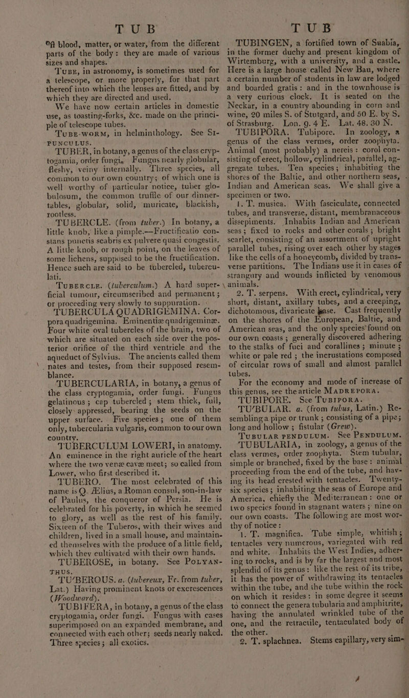 TUB ©f blood, matter, or water, from the different parts of the body: they are made of various sizes and shapes. TuBE, in astronomy, is sometimes used for a telescope, or more properly, for that part thereof into which the lenses are fitted, and by which they are directed and used. We have now certain articles in domestic use, as toasting-forks, &amp;c. made on the princi- ple of telescope tubes. TuBE-woRM, in helminthology. See 51- ‘PUNCULUS. TUBER, in botany, a genus of the class cryp- togamia, order fungi, Fungus nearly globular, fleshy, veiny internally. ‘Three species, all common to our own country; of which one is well worthy of particular notice, tuber glo- bulosum, the common trufile of our dinner- tables, globular, solid, ‘muricate, blackish, rootless. — TUBERCLE. (from tuber.) In botany, a little knob, like a pimple.—Fructificatio con- stans punctis scabris ex pulvere quasi congestis. A little knob, or rough point, on the leaves of some lichens, supposed to be the fructification. Hence such are said to be tubercled, tubercu- lati. TuBeERcieE. (fuberculum.) A hard super- ficial tumour, circumscribed and permanent ; or proceeding very slowly to suppuration. | TUBERCULA QUADRIGEMINA. Cor- oraquadrigemina. Eminentiz quadrigemine. Fone white oval tubercles of the brain, two of which are situated on each side over the pos- terior orifice of the third ventricle and the aqueduct of Sylvius. The ancients called them nates and testes, from their supposed resem- blance. ‘'TUBERCULARI,A, in botany, a genus of the class cryptogamia, order fungi. Fungus gelatinous ; cap tubercled; stem thick, fuil, closely: appressed, bearing the seeds on the upper surface. Five species; one of them only, tubercularia vulgaris, common to our own country. TUBERCULUM LOWERT, in anatomy. An eminence in the right auricle of the heart where the two vene cavee meet; so called from Lower, who first described it. name isQ. A¢lius, a Roman consul, son-in-law of Paulus, the conqueror of Persia. He is celebrated for his poverty, in which he seemed to glory, as well as the rest of his family. Sixteen of the Tuberos, with their wives and children, lived in a small house, and maintain- ed themselves with the produce of a little field, which they cultivated with their own hands, TUBEROSE, in botany. See PoLtyan- THUS. TU/BEROUS. a. (tubereux, Fr. from tuber, Lat.) Having prominent knots or excrescences (Woodward). TUBIFERA, in botany, a genus of the class cryptogamia, order fungi. Fungus with cases superimposed on an expanded membrane, and connected with each other; seeds nearly naked. Three species; all exotics. TUB TUBINGEN, a fortified town of Suabia, in the former duchy and present kingdom of | Wirtemburg, with a university, and a castle. Here is a large house called New Bau, where a certain number of students in law are lodged and boarded gratis: and in the townhouse is a very curious clock. It is seated on the Neckar, in a country abounding in corn and wine, 20 miles S. of Stutgard, and 50 E. by 5S. of Strasburg. Lon. 9.4 E. Lat. 48.30 N. TUBIPORA. Tubipore. In zoology, a genus of the class vermes, order zoophyta. Animal (most probably) a nereis : corol con- sisting of erect, hollow, cylindrical, parallel, ag- eregate tubes. Ten species; inhabiting the shores of the Baltic, and other northern seas, . Indian and American seas. We shall give a specimen or two. 1. T. musica. With fasciculate, connected tubes, and transverse, distant, membranaceous dissepiments. Inhabits Indian and American seas; fixed to rocks and other corals; bright scarlet, consisting of an assortment of upright parallel tubes, rising over each other by stages like the cells of a honeycomb, divided by trans- verse partitions. The Indians use it in cases of strangury and wounds inflicted by venomous 2.'T.serpens. With erect, cylindrical, very short, distant, axillary tubes, and a creeping, dichotomous, divaricate pase. Cast frequently on the shores of the European, Baltic, and American seas, and the only species’ found on our own coasts ; generally discovered adhering — to the stalks of fuci and corallines ; minute ; white or pale red ; the incrustations composed of circular rows of small and almost parallel tubes. For the economy and mode of increase of this genus, see thearticle MADREPORA. TUBIPORE. Sce Tusrpora. . TU/BULAR. a. (from tubus, Latin.) Re- sembling a pipe or trunk ; consisting of a pipe; long and hollow ; fistular (Grew). TUBULAR PENDULUM. See PENDULUM. © TUBULARIA, in zoology, a genus of the class vermes, order zoophyta. Stem tubular, simple or branched, fixed by the base : animal — proceeding from the end of the tube, and hav- ing its head crested with tentacles. Twenty- six species; inhabiting the seas of Europe and America, chiefly the Mediterranean: one or two species found in stagnant waters 5 nine on our own coasts. The following are most wor- thy of notice : 1. T. magnifica. Tube simple, whitish ; _ tentacles very numerous, variegated with red and white. Inhabits the West Indies, adher- ing to rocks, and is by far the largest and most splendid of its genus: like the rest of its tribe, _ it has the power of withdrawing its tentacles within the tube, and the tube within the rock on which it resides: in some degree it seems to connect the genera tubularia and amphitrite,, having the annulated wrinkled tube of the one, and the retractile, tentaculated body of the other. al 2, T. splachnea. Stems capillary, very sim= uM