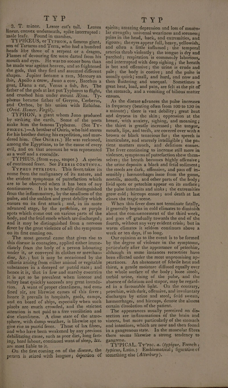 2 ees Og S. T. minor. Lesser cat's tail. Leaves linear, convex underneath, spike interrupted : ‘male leafy. Found in marshes, TYPHUS, or Typuon, a famous giant, son of Tartarus and Terra, who had a hundred heads like those of a serpent or a dragon, Flames of devouring fire were darted from his mouth and eyes. He wasno sooner born than he made war against heaven, and so frightened the gods, that they fled and assumed different shapes. Jupiter became a ram, Mercury an ibis, Apollo a crow, Juno a cow, Bacchus a goat, Diana a cat, Venus a fish, &amp;c, The father of the gods at last put Typhceus to flight, and crushed him under mount Aitna. ‘Ty- pheeus became father of Geryon, Cerberus, and Orthos, by his union with Echidna. (Ovid. Homer. Virgil). TYPHON, a giant whom Juno produced by striking the earth. Some of the poets make him the famous Typhcoeus. (See Ty- PH@vs.)—A brother of Osiris, who laid snares for his brother during his expedition, and mur- dered him. (See Ostris.) He was reckoned, among the Egyptians, to be the cause of every. evil, and on that account he was represented as a wolf and a crocodile. TYPHUS. (from rugoc, stupor.) A species of continued fever. See FEER1s CONTINUA. Typuus purripus. This fever,takes its name from the malignancy of its nature, and the evident symptoms of putrefaction which are to be observed when it has been of any continuance. It is to be readily distinguished from the inflammatory, by the smallness of the pulse, and the sudden and great debility which ensues On its first attack; and, in its more advanced stage, by the petéchiz, or purple spots which come out on various parts of the body, and the fetid stools which are discharged ; and it may be distinguished from a nervous fever by the great violence of all the symptoms en its first coming on. The most general cause that gives rise to this disease is contagion, applied either imme- diately fram the body of a person labouring under it, or conveyed m clothes or merchan- dise, &amp;c.; but it may be occasioned by the . effluvia arising ftom either animal or vegetable substances in a decayed or putrid state; and hence it is, that in low and marshy countries it is apt to be prevalent when intense and sultry heat quickly succeeds any great inunda- tion. A want of proper cleanliness, aid con; fined air, are likewise causes of this fever ; hence it prevails in hospitals, gaols, camps, and on board of ships, especially when such placés are much crowded, and the strictest attention is not paid to a free ventilation and due cleanliness. A close state of the atmo- sphere, with damp weather, is likewise apt to give rise to putrid fever. Those of lax fibres, and who have been weakened by any previous debilitating cause, such as poor diet, long fast- ing, hard Jabour, continued want of sleep, &amp;c. are most liable to it. . On. the first coming on of the disease, the person is seized with languor; dejection of anh spirits; amazing depression and loss of muses lar strength; universal weariness and soreness pains in the head, back, and extremities, and rigours; the eyes appear full, heavy, yellowish, and often a little inflamed; the temporal arteries throb violently; the tongue is dry and and interrupted with deep sighing ; the breath is hot and offensive; the urine is erude and pale; the body is costive; and the pulse is usually quick; small, and hard, and now and then fluttering and unequal. Sometimes a great heat, load, and pain, are felt at the pit of the stomach, and a vomiting of bilious matter ensues. As the disease advances the pulse increases in frequency (beating often from 100 to 130 in a minute); there is vast debility; great heat and dryness in the skin; oppression at the breast, with anxiety, sighing, and moaning ; the thirst is greatly increased; the tongue, mouth, lips, and teeth, are covered over witha brown or black tenacious fur; the speech is inarticulate, and scarcely intelligible ; the pa- tient mutters much, and delirium ensues. The fever continuing to increase still more in violence, symptoms of putrefaction shew them- selves; the breath becomes highly offensive ; the urine deposits a black and fetid sediment; the stools are dark, offensive, and pass off in- sensibly ; hemorrhages issue from the gums, nostrils, mouth, and other parts of the body; livid spots or petechize appear on its surface ; the pulse intermits and sinks ; the extremities grow cold; hiccups ensue; and death at last closes the tragic scene. When this fever does not terminate fatally, it generally begins in cold climates to diminish about the commencement of the third week, and goes off gradually towards the end of the fourth, without any very evident crisis; but in warm climates it seldom continues above a week or ten days, if so long. Our opinion as to the event is to be formed by the degree of violence in the symptoms, particularly after the appearance of petechix, although in some instances recoveries have been effected under the most unpromising ap- pearances. An abatement of febrile heat and thirst, a gentle moisture diffused equally over the whole surface of the body ; loose stools, turbid urine, rising of the pulse, and the absence of delirium and stupor, may be regard- ed in a favourable hight. On the contrary, petechize, with dark, offensive, and involantary discharges by urine and stool, fetid sweats, hemorrhages, and hiccups, denote the almost certain dissolution of the patient. The appearances usually perceived on dis« section are inflammations of the brain and viscera, but more particularly of the stomach and intestines, which are now and then found in a gangrenous state. In the muscular fibres there seems likewise a strong tendency to angrene. TY’PICAL. Ty’ric. a. (fypique, French; typicus, Latin.) Emblematical; figurative of something else (Atterbury).