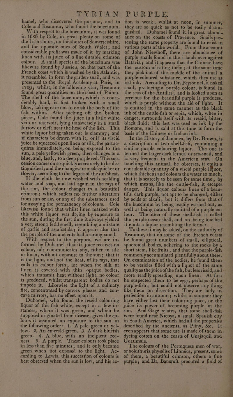 TYR RAIN hamel; who discovered the purpura, and to Cole and Reaumur, who found the buccinum. ‘ith respect to the buccinym, it was found in 1686 by Cole, in great plenty on some of the Irish shores, on the shores of omersetshire, - and the opposite ones of South Wales; and considerable profit was made of it by marking linen with its juice of a fine durable crimson colour. A small species-of the buccinum was hkewise found by Jussieu, on that part of the French coast which is washed by the Atlantic; it resembled in form the garden-snail, and was presented to the Royal Academy at Paris, in i709; whilst, in the following year, Reaumur found great quantities on the coast of Poitou. The shell of the buccinum, which is consi- derably hard, is first broken with a small blow, taking care not to crush the body of the fish within. After picking off the broken pieces, Cole found the juice in a little white vein or reservoir, lying transversely in a small furrow or cleft near the head of the fish. This white liquor being taken out is clammy; and if characters be drawn with it, or if its viscid juice be squeezed upon linen or silk, the partac- quires immediately, on being exposed to the sun, a pale yellowish green, then changes to a blue, and, lastly, toa deep purple red. This suc- cession comes on so quickly as scarcely to be dis- tinguished ; and the changes are made quicker or slower, according to the degree of the sun’sheat. If the cloth be now washed with scalding water and soap, and laid again in the rays of the sun, the colour changes to a beautiful crimson; which suffers no further alteration from sun or air, or any of the substances used for assaying the permanency of colours. Cole likewise found that whilst linen marked with this white liquor was drying by exposure to the sun, during the first time it always yielded a very strong fetid smell, resembling a mixture of garlic and assafoetida; it appears also that the purple of the ancients had a strong smell. With respect to the purpura, we are in- formed by Duhamel that its juice receives no colour, nor communicates any, either to silk is the light, and not the heat, of its rays, that calls its colour forth; for when the silk or linen is covered) with thin opaque bodies, which transmit heat without light, no colour is produced, whilst transparent bodies do not impede it. Likewise the light of a culinary - fire, concentrated by convex glasses and con- cave mirrors, has no effect upon it. Duhamel, who found the rescid colouring liquor of this fish white, except in a few in- stances, where it was green, and which he supposed originated from disease, gives the co- lours it assumed on exposure to the sun in the following order: 1. A pale green or yel- low. 2, An emerald green. 3. A dark blueish green. 4. A blue, with an incipient red- 5. A purple. These colours took place in less than five minutes; and it only became green when not exposed to the light. Ac- best observed when the sun is low, and his ac- PURPLE. tion is weak; whilst at noon, in summer,. they are so quick as not to be easily distin. guished. Duhamel found it. in great abunds ance on the coasts of Provence, Snails pos- sessing the same property are found to exist in various parts of the world. From the account of John Niewhoff, there are abundance of purple snails found in the islands over against Batavia ; and it appears that the Chinese have the custom of eating them; at the same time they pick out of the middle of the animal a purple-coloured substance, which they use as red ink. According to Dr. Peysonnel, a naked snail, producing a purple colour, is found in the seas of the Antilles; and is looked upon as precious for the beautiful purple it produces, which is purple without the aid of light. It is emitted in the same manner as the black ink of the cuttle-fish or sepia, which, when in danger, surrounds itself with its rescid, bitter, black fluid: this last was used as ink by the Romans, and is said at this time to form the. basis of the Chinese or Indian ink, In the History of Jamaica, by Dr. Brown, is a description of two shell-fish, containing a similar purple colouring liquor. The one is termed the larger dark lernea or.sea-snail, and is very frequent in the American seas. On. touching this animal, he observes, it emits a considerable quantity of a viscid purple lfuor, © which thickens and colours the water so much, that it is scarcely to be seen for some time; by which means, like the cuttle-fish, it escapes danger. This liquor colours linen of a beau- tiful dark purple, not apt to be changed, either by acids or alkali; but it differs from that of the buccinum by being readily washed out, as well as being naturally emitted of a purple co- lour. The other of these shell-fish is called the purple ocean-sheli, and on being touched it emits a liquor resembling the former. . To these it may be added, on the authority of Reaumur, that on some of the French coasts he found great numbers of small, elliptical, spheroidal bodies, adhering to the rocks by a short stem, like fruits ; and that the purple-fish commonly accumulated plentifully about these. On examination of the bodies, he found them to be vesicles filled with a liquor of the same quality as the juice of the fish, but less viscid, and - more readily spreading upon linen. At first © he suspected them to be eggs, perhaps of the. purple-fish ; but could not observe any thing like them on dissection. They are only in perfection in autumn; whilst in summer they have either lost their colouring juice, or the juice its power of becoming purple in the sun, And Gage relates, that some shell-fish were found near Nicoya, a small Spanish city in South America, which had all the properties described by the ancients, as Pliny, &amp;c. It . even appears that some use is made of them in dyeing cotton on the coasts of Guajaquil and. Guatimala. The colours of the Portuguese men of war, orholuthuria physalisof Linnéus, present, some of them, a beautiful crimson, others a fine purple; and Dr, Bancroft procured a fluid of