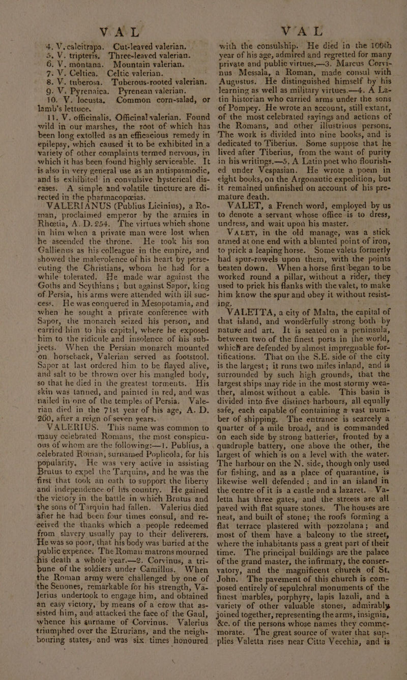 4. Vecaleitrapa. Cut-leaved valerian. 5. V. tripteris, ‘Three-leaved valerian. 6. V. montana. Mountain valerian. 7. V. Celtica. Celtic valerian. 8. V. tuberosa. Tuberous-rooted valerian. g. V. Pyrenaica. Pyrenean valerian. 10. V. locusta. Common corn-salad, or lamb’s lettuce. | 11. V. officinalis. Officinal valerian. Found wild in our marshes, the root of which has been long extolled as an efficacious remedy in epilepsy, which caused it to be exhibited in.a variety of other complaints termed nervous, in which it has been found highly serviceable. It is also in very general use as an antispasmodic, and is exhibited in convulsive hysterical dis- eases. A simple and volatile tincture are di- rected in the pharmacopeeias. - | VALERIANUS (Publius Licinius), a Ro- man, proclaimed emperor by the armies in Rhetia, A. D.254. The virtues which shone in him when a private man were lost when he ascended the throne. He took his son Gallienus as his colleague in the empire, and showed the malevolence of his heart by perse- euting the Christians, whom he had for a while tolerated. He made war against the Goths and Scythians ; but against Sapor, king of.Persia, his arms were attended with ill suc- cess. He was conquered in Mesopotamia, and when he sought a private conference with Sapor, the monarch seized his person, and carried him to his capital, where he exposed him to the ridicule and insolence of his sub- jects. When the Persian monarch mounted on. horseback, Valerian served as footstool. Sapor at last ordered him to be flayed alive, and salt to be thrown over his mangled body, so that he died in the greatest torments. His skin was tanned, and painted in red, and was nailed in one of the temples of Persia. Vale- rian died in the 71st year of his age, A, D, 260, after a reign of seven years. VALERIUS. This name was common to many celebrated Romans, the most conspicu- ous of whom are the following:—1!. Publius, a celebrated Roman, surnamed Poplicola, for his popularity, He was very active in assisting Brutus to expel the Tarquins, and he was the first that took an oath to support the liberty and independence.of hYs country. He gained the victory in the battle in which Brutus and the cons of Tarquin had fallen. Valerius died afier he had been four times consul, and re- eeived the thanks which a people redeemed from slavery usually pay to their deliverers. He was so poor, that his body was buried at the public expence. The Roman matrons mourned his death a whole ‘year.—2. Corvinus, a tri- bune of the soldiers under Camillus. When the Roman army were challenged by one of the Senones, remarkable for his strength, Va- Jerius undertook to engage him, and obtained an easy victory, by means of a crow that as- sisted -him, and attacked the face of the Gaul, whence his surname of Corvinus. Valerius triumphed over the Etrurians, and the neigh- bouring states, and was six. times honoured with the consulship. He died in the 100th year of his age, admired and regretted for many private and public virtnes.—3. Marcus Corvi- nus Messala, a Roman, made consul with Augustus. He distinguished himself by his tin historian who carried arms under the sons of Pompey. He wrote an account, still extant, of the most celebrated sayings and actions of the Romans, and other illustrious persons, The work is divided into nine books, and is dedicated to Tiberius. Some suppose that he lived after Tiberius, from the want of purity in his writings.—5, A Latin poet who flourish- ed under Vespasian. He wrote a poem in eight books, on the Argonautic expedition, but it remained unfinished on account of his pre- mature death. é VALET, a French word, employed by us to denote a servant whose office is to dress, undress, and wait upon his master. - VALzT, in the old manage, was a stick armed at one end with a blunted point of iron, to prick a leaping horse. Some valets formerly had spur-rowels upon them, with the points beaten down. When ahorse first'began to be worked round a pillar, without a rider, they used to prick his flanks with the valet, to make him know the spur and obey it without resist- ing, | VALETTA, a city of Malta, the capital of that island, and wondérfully strong both by nature and art. It is seated on a peninsula, between two of the finest ports in the world, whick are defended by almost impregnable for- tifications. That on the S.E. side of the city is the largest; it runs two miles inland, and is surrounded by such high grounds, that the largest ships may ride in the most stormy wea- ther, almost without a cable. This basin is divided into five distinct harbours, all equally safe, each capable of containing a vast num- quarter of a mile broad, and is commanded on each side by strong batteries, fronted by a_ quadruple battery, one above the other, the largest of which is on a Jevel with the water. The harbour on the N. side, though only used fur fishing, and as a place of quarantine, is likewise well defended ; and in an island in the centre of it is a castle and a Jazaret. . Va- Jetta has three gates, and the streets are all paved with flat square stones. The houses are neat, and built of stone; the roofs forming a flat terrace plastered with pozzolana; and most of them have a balcony to the street, where the inhabitants pass a great part of their time. The principal buildings are the palace of the grand master, the infirmary, the conser- vatory, and the magnificent church of St. John. The pavement of this church is com- posed entirely of sepulchral monuments of the finest ‘marbles, porphyry, lapis lazuli, and a variety of other valuable stones, admirably joined together, representing the arms, insignia, &amp;c. of the persons whose names they comme- plies Valetta rises near Citta Vecchia, and is