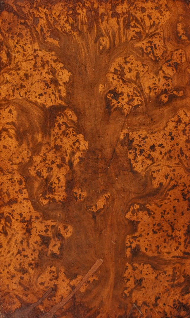 No text description is available for this image