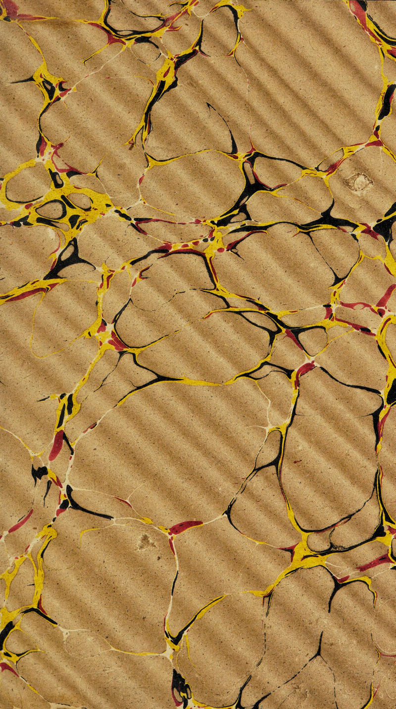 No text description is available for this image