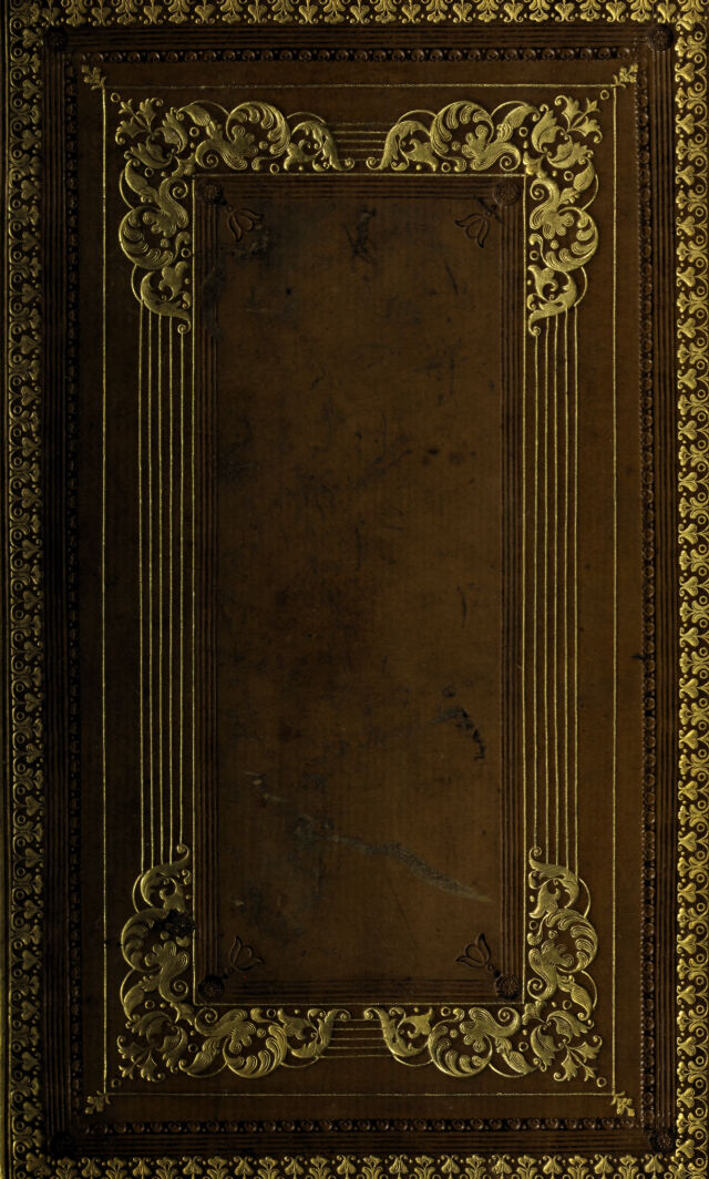 No text description is available for this image