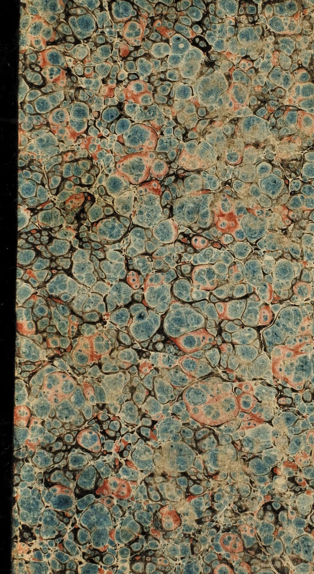 digitised image 1