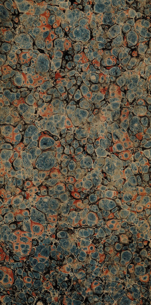 digitised image 1