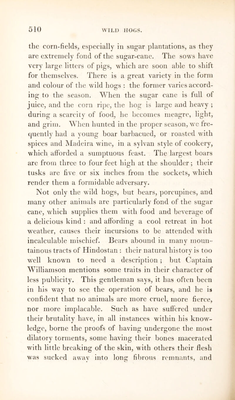 the corn-fields, especially in sugar plantations, as they are extremely fond of the sugar-cane. The sows have very large litters of pigs, which are soon able to shift for themselves. There is a great variety in the form and colour of the wild hosts : the former varies accord- ing to the season. When the sugar cane is full of juice, and the corn ripe, the hog is large and heavy ; during a scarcity of food, he becomes meagre, light, and grim. When hunted in the proper season, we fre- quently had a young boar barbacued, or roasted with spices and Madeira wine, in a sylvan style of cookery, which afforded a sumptuous feast. The largest boars are from three to four feet high at the shoulder; their tusks are five or six inches from the sockets, which render them a formidable adversary. Not only the wild hogs, but bears, porcupines, and many other animals are particularly fond of the sugar cane, which supplies them with food and beverage of a delicious kind : and affording a cool retreat in hot weather, causes their incursions to be attended with incalculable mischief. Bears abound in many moun- tainous tracts of Hindostan : their natural history is too well known to need a description ; but Captain Williamson mentions some traits in their character of less publicity. This gentleman says, it has often been in his way to see the operation of bears, and he is confident that no animals are more cruel, more fierce, nor more implacable. Such as have suffered under their brutality have, in all instances within his know- ledge, borne the proofs of having undergone the most dilatory torments, some having their bones macerated with little breaking of the skin, with others their flesh was sucked a wav into lon^ fibrous remnants, and