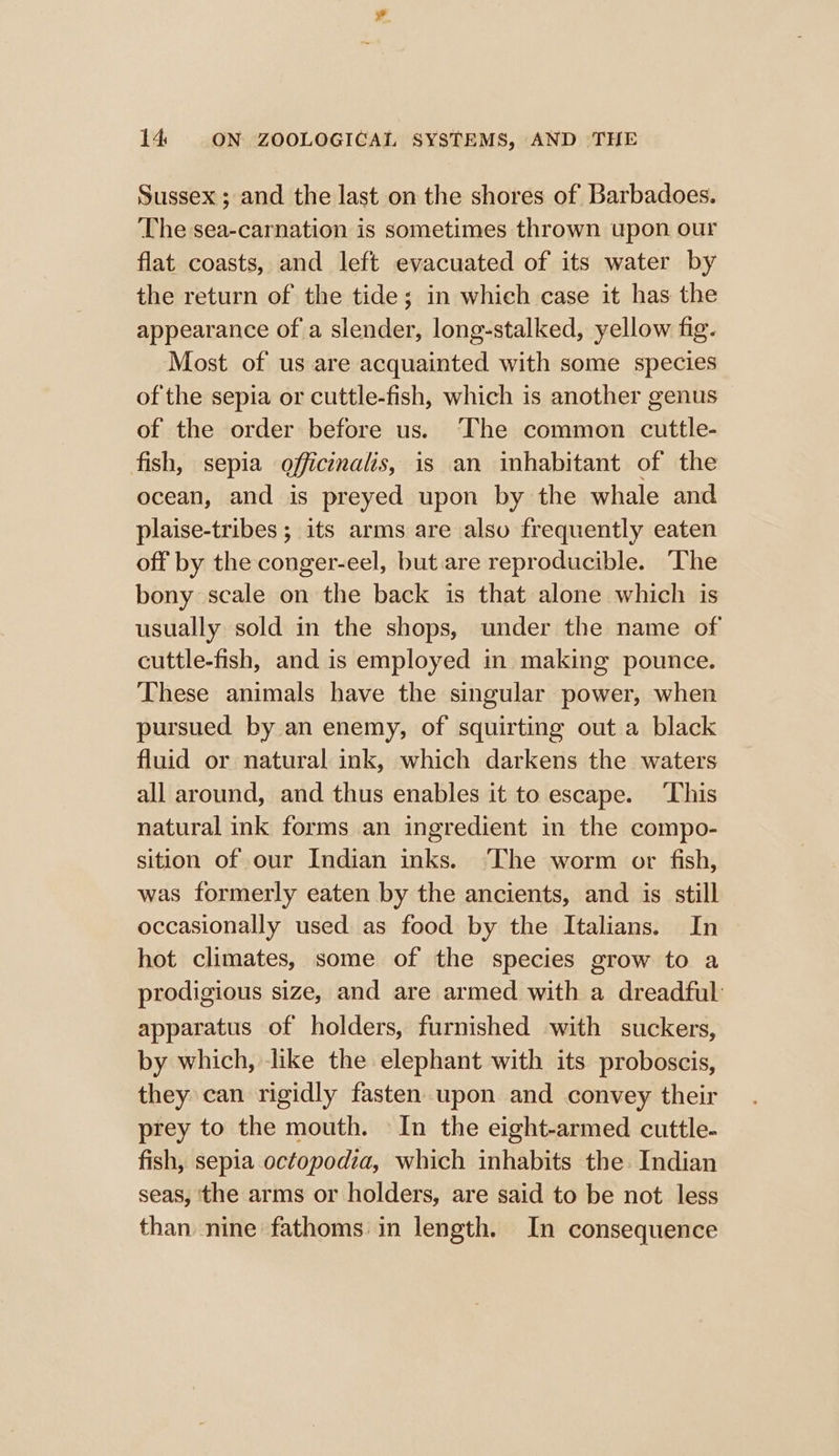 Sussex ; and the last on the shores of Barbadoes. The sea-carnation is sometimes thrown upon our flat coasts, and left evacuated of its water by the return of the tide; in which case it has the appearance of a slender, long-stalked, yellow fig. Most of us are acquainted with some species of the sepia or cuttle-fish, which is another genus of the order before us. ‘The common cuttle- fish, sepia officinalis, is an inhabitant of the ocean, and is preyed upon by the whale and plaise-tribes ; its arms are also frequently eaten off by the conger-eel, but. are reproducible. The bony scale on the back is that alone which is usually sold in the shops, under the name of cuttle-fish, and is employed in making pounce. These animals have the singular power, when pursued by an enemy, of squirting out a black fluid or natural ink, which darkens the waters all around, and thus enables it to escape. ‘This natural ink forms an ingredient in the compo- sition of our Indian inks. ‘The worm or fish, was formerly eaten by the ancients, and is still occasionally used as food by the Italians. In hot climates, some of the species grow to a prodigious size, and are armed with a dreadful apparatus of holders, furnished with suckers, by which, like the elephant with its proboscis, they: can rigidly fasten upon and convey their prey to the mouth. » In the eight-armed cuttle- fish, sepia octopodia, which inhabits the Indian seas, the arms or holders, are said to be not less than nine fathoms in length. In consequence