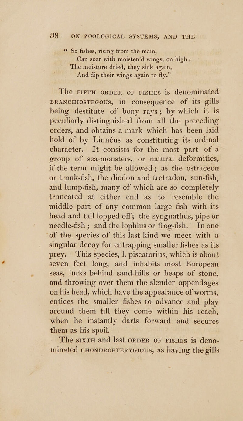 ‘* So fishes, rising from the main, Can soar with moisten’d wings, on high ; The moisture dried, they sink again, And dip their wings again to fly.” The rirTH ORDER OF FISHES is denominated _ BRANCHIOSTEGOUS, in consequence of its gills being destitute of bony rays; by which it is peculiarly distinguished from all the preceding orders, and obtains a mark which has been laid hold of by Linnéus as constituting its ordinal character. It consists for the most part of a group of sea-monsters, or natural deformities, if the term might be allowed; as the ostraceon or trunk-fish, the diodon and tretradon, sun-fish, and lump-fish, many of which are so completely truncated at either end as to resemble the middle part of any common large fish with its head and tail lopped off; the syngnathus, pipe or needle-fish ; and the lophius or frog-fish. In one ‘of the species of this last kind we meet with a singular decoy for entrapping smaller fishes as its prey. This species, |. piscatorius, which is about seven feet long, and inhabits most European seas, lurks behind sand-hills or heaps of stone, and throwing over them the slender appendages on his head, which have the appearance of worms, entices the smaller fishes to advance and play around them till they come within his reach, when he instantly darts forward and secures them as his spoil. The sixtu and last oRDER OF FISHES is deno- minated CHONDROPTERYGIOUS, as having the gills