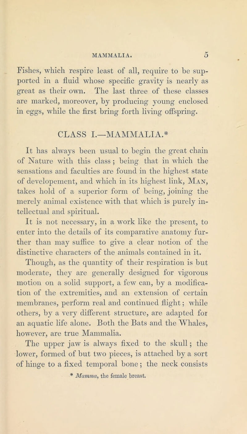 MAMMALIA. O Fishes, which respire least of all, require to be sup- ported in a fluid whose specific gravity is nearly as great as their own. The last three of these classes are marked, moreover, by producing young enclosed in eggs, while the first bring forth living offspring. CLASS I.—MAMMALIA.* It has always been usual to begin the great chain of Nature with this class ; being that in which the sensations and faculties are found in the highest state of developement, and which in its highest link, Man, takes hold of a superior form of being, joining the merely animal existence with that which is purely in- tellectual and spiritual. It is not necessary, in a work like the present, to enter into the details of its comparative anatomy fur- ther than may suffice to give a clear notion of the distinctive characters of the animals contained in it. Though, as the quantity of their respiration is but moderate, they are generally designed for vigorous motion on a solid support, a few can, by a modifica- tion of the extremities, and an extension of certain membranes, perform real and continued flight; while others, by a very different structure, are adapted for an aquatic life alone. Both the Bats and the Whales, however, are true Mammalia. The upper jaw is always fixed to the skull; the lower, formed of but two pieces, is attached by a sort of hinge to a fixed temporal bone ; the neck consists * Mamma, the female breast.