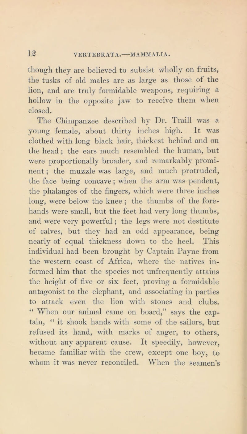 though they are believed to subsist wholly on fruits, the tusks of old males are as large as those of the lion, and are truly formidable weapons, requiring a hollow in the opposite jaw to receive them when closed. The Chimpanzee described by Dr. Traill was a young female, about thirty inches high. It was clothed with long black hair, thickest behind and on the head ; the ears much resembled the human, but were proportionally broader, and remarkably promi- nent ; the muzzle was large, and much protruded, the face being concave; when the arm was pendent, the phalanges of the fingers, which were three inches long, were below the knee ; the thumbs of the fore- hands were small, but the feet had very long thumbs, and were very powerful ; the legs were not destitute of calves, but they had an odd appearance, being nearly of equal thickness down to the heel. This individual had been brought by Captain Payne from the western coast of Africa, where the natives in- formed him that the species not unfrequently attains the height of five or six feet, proving a formidable antagonist to the elephant, and associating in parties to attack even the lion with stones and clubs. “ When our animal came on board,” says the cap- tain, “ it shook hands with some of the sailors, but refused its hand, with marks of anger, to others, without any apparent cause. It speedily, however, became familiar with the crew, except one boy, to whom it was never reconciled. When the seamen’s
