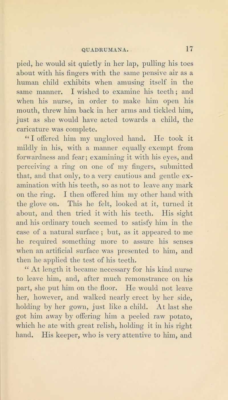 piecl, lie would sit quietly in her lap, pulling his toes about with his fingers with the same pensive air as a human child exhibits when amusing itself in the same manner. I wished to examine his teeth; and when his nurse, in order to make him open his mouth, threw him back in her arms and tickled him, just as she would have acted towards a child, the caricature was complete. “ I offered him my ungloved hand. He took it mildly in his, with a manner equally exempt from forwardness and fear; examining it with his eyes, and perceiving a ring on one of my fingers, submitted that, and that only, to a very cautious and gentle ex- amination with his teeth, so as not to leave any mark on the ring. I then offered him my other hand with the glove on. This he felt, looked at it, turned it about, and then tried it with his teeth. His sight and his ordinary touch seemed to satisfy him in the case of a natural surface ; but, as it appeared to me he required something more to assure his senses when an artificial surface was presented to him, and then he applied the test of his teeth. “ At length it became necessary for his kind nurse to leave him, and, after much remonstrance on his part, she put him on the floor. He would not leave her, however, and walked nearly erect by her side, holding by her gown, just like a child. At last she got him away by offering him a peeled raw potato, which he ate with great relish, holding it in his right hand. His keeper, who is very attentive to him, and
