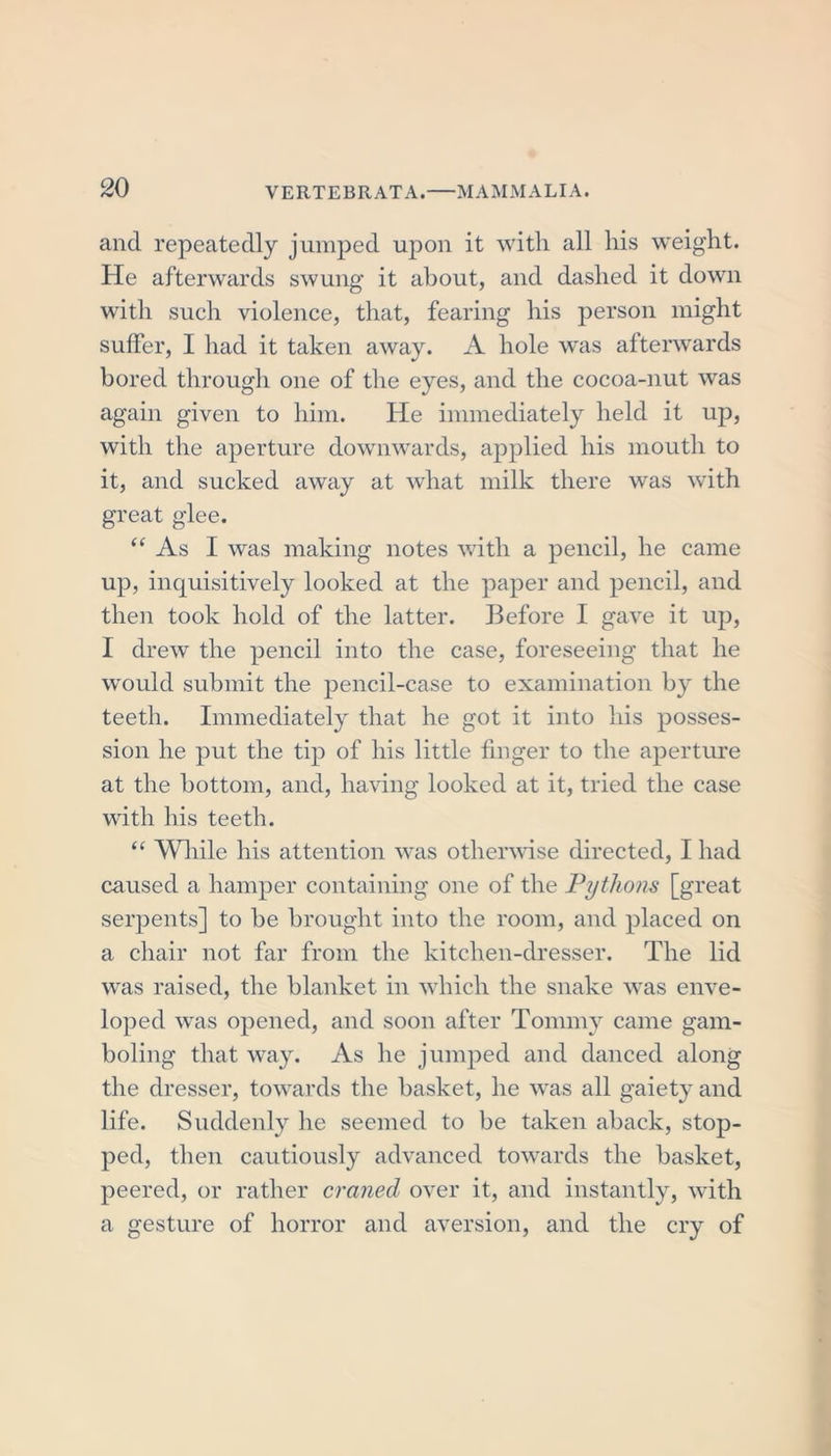 and repeatedly jumped upon it with all his weight. He afterwards swung it about, and dashed it down with such violence, that, fearing his person might suffer, I had it taken away. A hole was afterwards bored through one of the eyes, and the cocoa-nut was again given to him. He immediately held it up, with the aperture downwards, applied his mouth to it, and sucked away at what milk there was with great glee. “ As I was making notes with a pencil, he came up, inquisitively looked at the paper and pencil, and then took hold of the latter. Before I gave it up, I drew the pencil into the case, foreseeing that he would submit the pencil-case to examination by the teeth. Immediately that he got it into his posses- sion he put the tip of his little finger to the aperture at the bottom, and, having looked at it, tried the case with his teeth. “ While his attention was otherwise directed, I had caused a hamper containing one of the Pythons [great serpents] to be brought into the room, and placed on a chair not far from the kitchen-dresser. The lid was raised, the blanket in which the snake was enve- loped was opened, and soon after Tommy came gam- boling that way. As he jumped and danced along the dresser, towards the basket, he was all gaiety and life. Suddenly he seemed to be taken aback, stop- ped, then cautiously advanced towards the basket, peered, or rather craned over it, and instantly, with a gesture of horror and aversion, and the cry of
