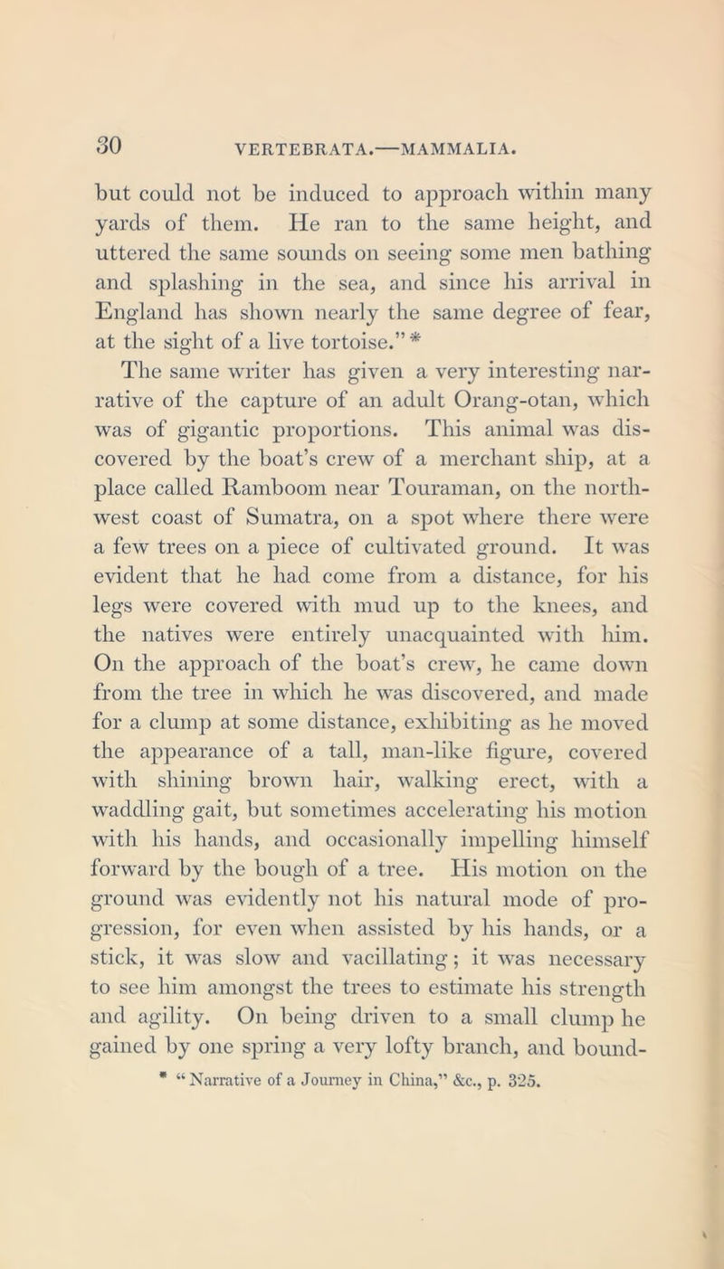but could not be induced to approach within many yards of them. He ran to the same height, and uttered the same sounds on seeing some men bathing and splashing in the sea, and since his arrival in England has shown nearly the same degree of fear, at the sight of a live tortoise.” * The same writer has given a very interesting nar- rative of the capture of an adult Orang-otan, which was of gigantic proportions. This animal was dis- covered by the boat’s crew of a merchant ship, at a place called Ramboom near Touraman, on the north- west coast of Sumatra, on a spot where there were a few trees on a piece of cultivated ground. It was evident that he had come from a distance, for his legs were covered with mud up to the knees, and the natives were entirely unacquainted with him. On the approach of the boat’s crew, he came down from the tree in which he was discovered, and made for a clump at some distance, exhibiting as he moved the appearance of a tall, man-like figure, covered with shining brown hair, walking erect, with a waddling gait, but sometimes accelerating his motion with his hands, and occasionally impelling himself forward by the bough of a tree. His motion on the ground was evidently not his natural mode of pro- gression, for even when assisted by his hands, or a stick, it was slow and vacillating; it was necessary to see him amongst the trees to estimate his strength and agility. On being driven to a small clump he gained by one spring a very lofty branch, and bound- * “Narrative of a Journey in China,” &amp;c., p. 325.