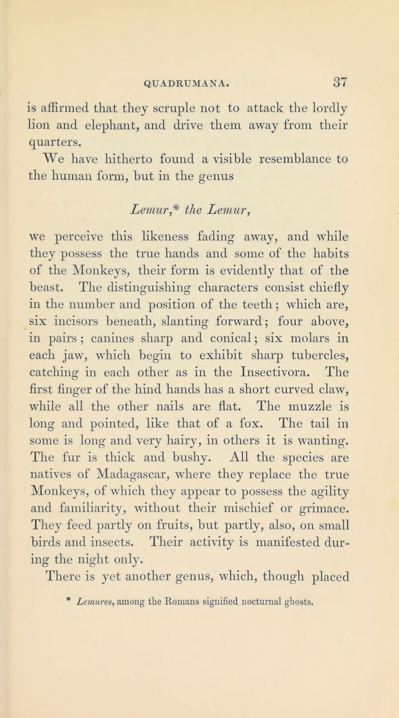 is affirmed that they scruple not to attack the lordly lion and elephant, and drive them away from their quarters. We have hitherto found a visible resemblance to the human form, but in the genus Lemur,* the Lemur, we perceive this likeness fading away, and while they possess the true hands and some of the habits of the Monkeys, their form is evidently that of the beast. The distinguishing characters consist chiefly in the number and position of the teeth; which are, six incisors beneath, slanting forward; four above, in pairs ; canines sharp and conical; six molars in each jaw, which begin to exhibit sharp tubercles, catching in each other as in the Insectivora. The first finger of the hind hands has a short curved claw, while all the other nails are flat. The muzzle is long and pointed, like that of a fox. The tail in some is long and very hairy, in others it is wanting. The fur is thick and bushy. All the species are natives of Madagascar, where they replace the true Monkeys, of which they appear to possess the agility and familiarity, without their mischief or grimace. They feed partly on fruits, but partly, also, on small birds and insects. Their activity is manifested dur- ing the night only. There is yet another genus, which, though placed * Lemures, among the Romans signified nocturnal ghosts.