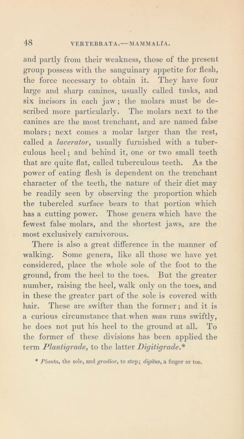 and partly from their weakness, those of the present group possess witli the sanguinary appetite for flesh, the force necessary to obtain it. They have four large and sharp canines, usually called tusks, and six incisors in each jaw ; the molars must be de- scribed more particularly. The molars next to the canines are the most trenchant, and are named false molars; next comes a molar larger than the rest, called a lacerator, usually furnished with a tuber- culous heel; and behind it, one or two small teeth that are quite flat, called tuberculous teeth. As the power of eating flesh is dependent on the trenchant character of the teeth, the nature of their diet may be readily seen by observing the proportion which the tubercled surface bears to that portion which has a cutting power. Those genera which have the fewest false molars, and the shortest jaws, are the most exclusively carnivorous. There is also a great difference in the manner of walking. Some genera, like all those we have yet considered, place the whole sole of the foot to the ground, from the heel to the toes. But the greater number, raising the heel, walk only on the toes, and in these the greater part of the sole is covered with hair. These are swifter than the former; and it is a curious circumstance that when man runs swiftly, he does not put his heel to the ground at all. To the former of these divisions has been applied the term Plantigrade, to the latter Digitigrade.* * Planta, the sole, and graclior, to step; digitus, a finger or toe.