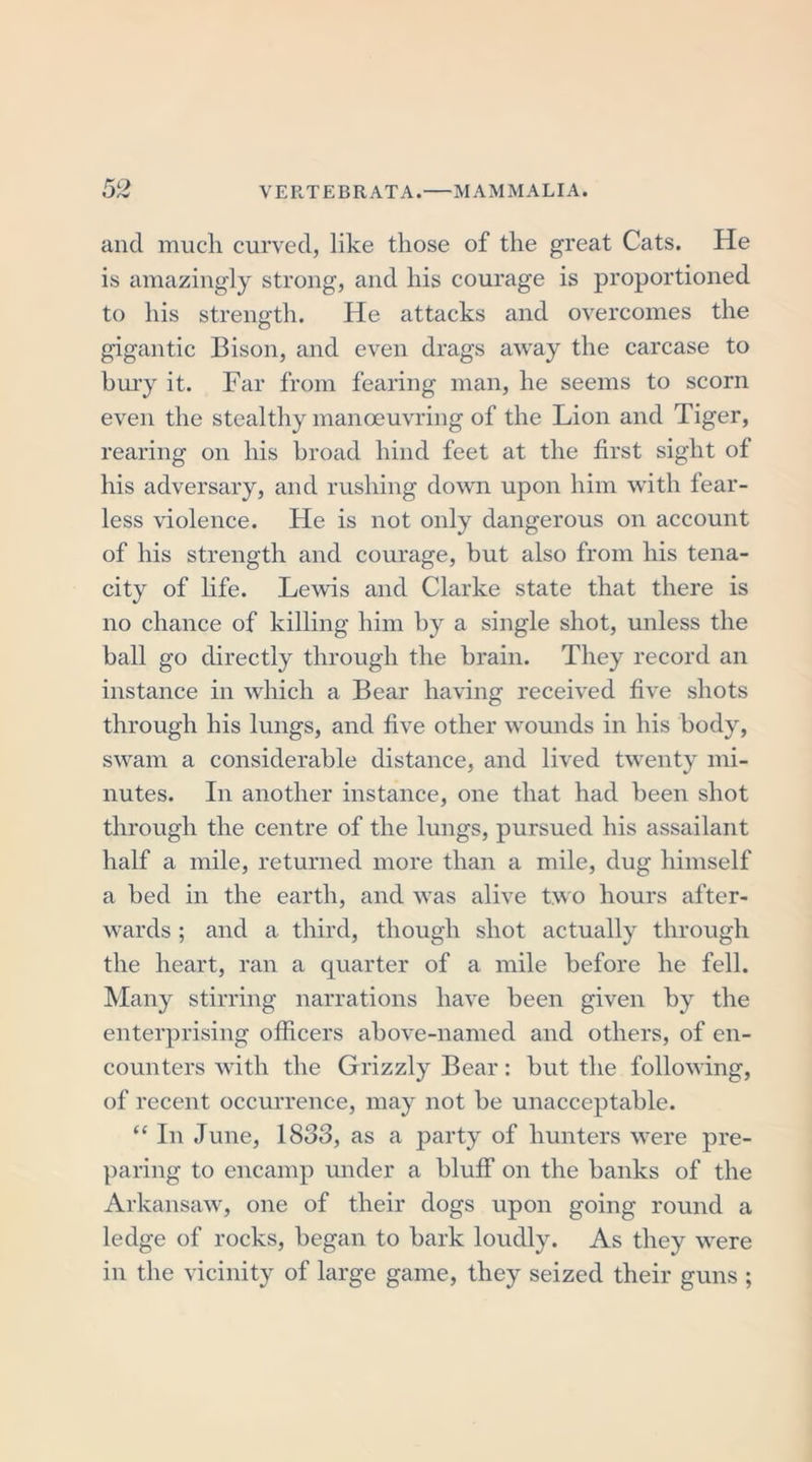 and mucli curved, like those of the great Cats. He is amazingly strong, and his courage is proportioned to his strength. He attacks and overcomes the gigantic Bison, and even drags away the carcase to bury it. Far from fearing man, he seems to scorn even the stealthy manoeuvring of the Lion and Tiger, rearing on his broad hind feet at the first sight of his adversary, and rushing down upon him with fear- less violence. He is not only dangerous on account of his strength and courage, but also from his tena- city of life. Lewis and Clarke state that there is no chance of killing him by a single shot, unless the ball go directly through the brain. They record an instance in which a Bear having received five shots through his lungs, and five other wounds in his body, swam a considerable distance, and lived twenty mi- nutes. In another instance, one that had been shot through the centre of the lungs, pursued his assailant half a mile, returned more than a mile, dug himself a bed in the earth, and was alive two hours after- wards ; and a third, though shot actually through the heart, ran a quarter of a mile before he fell. Many stirring narrations have been given by the enterprising officers above-named and others, of en- counters with the Grizzly Bear: but the following, of recent occurrence, may not be unacceptable. “ In June, 1833, as a party of hunters were pre- paring to encamp under a bluff on the banks of the Arkansaw, one of their dogs upon going round a ledge of rocks, began to bark loudly. As they were in the vicinity of large game, they seized their guns ;