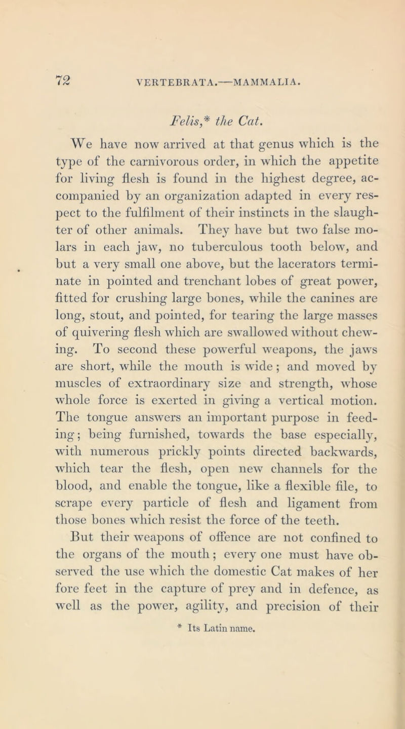 Fells,* the Cat. We have now arrived at that genus which is the type of the carnivorous order, in which the appetite for living flesh is found in the highest degree, ac- companied by an organization adapted in every res- pect to the fulfilment of their instincts in the slaugh- ter of other animals. They have but two false mo- lars in each jaw, no tuberculous tooth below, and but a very small one above, but the lacerators termi- nate in pointed and trenchant lobes of great power, fitted for crushing large bones, while the canines are long, stout, and pointed, for tearing the large masses of quivering flesh which are swallowed without chew- ing. To second these powerful weapons, the jaws are short, while the mouth is wide; and moved by muscles of extraordinary size and strength, whose whole force is exerted in giving a vertical motion. The tongue answers an important purpose in feed- ing ; being furnished, towards the base especially, with numerous prickly points directed backwards, which tear the flesh, open new channels for the blood, and enable the tongue, like a flexible file, to scrape every particle of flesh and ligament from those bones which resist the force of the teeth. But their weapons of offence are not confined to the organs of the mouth; every one must have ob- served the use which the domestic Cat makes of her fore feet in the capture of prey and in defence, as well as the power, agility, and precision of their * Its Latin name.