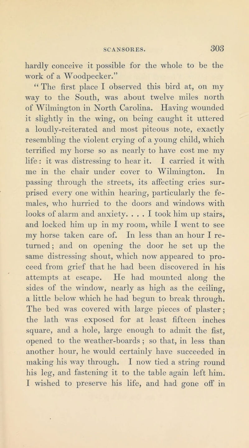 hardly conceive it possible for the whole to be the work of a Woodpecker.” “ The first place I observed this bird at, on my way to the South, was about twelve miles north of Wilmington in North Carolina. Having wounded it slightly in the wing, on being caught it uttered a loudly-reiterated and most piteous note, exactly resembling the violent crying of a young child, which terrified my horse so as nearly to have cost me my life : it was distressing to hear it. I carried it with me in the chair under cover to Wilmington. In passing through the streets, its affecting cries sur- prised every one within hearing, particularly the fe- males, who hurried to the doors and windows with looks of alarm and anxiety. ... I took him up stairs, and locked him up in my room, while I went to see my horse taken care of. In less than an hour I re- turned ; and on opening the door he set up the same distressing shout, which now appeared to pro- ceed from grief that he had been discovered in his attempts at escape. He had mounted along the sides of the window, nearly as high as the ceiling, a little below which he had begun to break through. The bed was covered with large pieces of plaster ; the lath was exposed for at least fifteen inches square, and a hole, large enough to admit the fist, opened to the weather-boards ; so that, in less than another hour, he would certainly have succeeded in making his way through. I now tied a string round his leg, and fastening it to the table again left him. I wished to preserve his life, and had gone off in