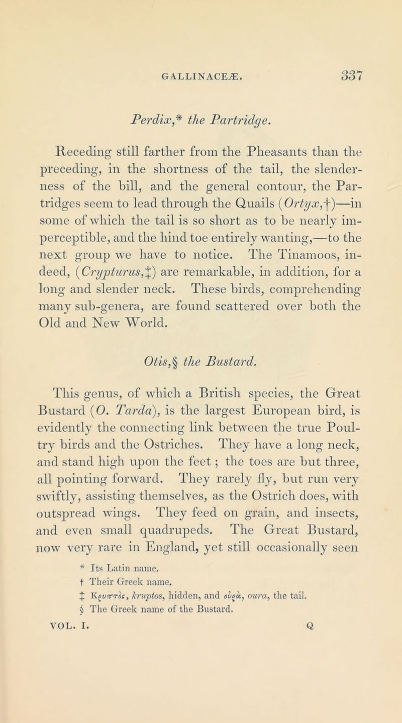Perdix* the Partridge. Receding still farther from the Pheasants than the preceding, in the shortness of the tail, the slender- ness of the bill, and the general contour, the Par- tridges seem to lead through the Quails (Ortyx,-\)—in some of which the tail is so short as to he nearly im- perceptible, and the hind toe entirely wanting,—to the next group we have to notice. The Tinamoos, in- deed, (Crypturus,\) are remarkable, in addition, for a long and slender neck. These birds, comprehending many sub-genera, are found scattered over both the Old and New World. Otis,§ the Bustard. This genus, of which a British species, the Great Bustard (0. Tarda), is the largest European bird, is evidently the connecting link between the true Poul- try birds and the Ostriches. They have a long neck, and stand high upon the feet; the toes are but three, all pointing forward. They rarely lly, but run very swiftly, assisting themselves, as the Ostrich does, with outspread wings. They feed on grain, and insects, and even small quadrupeds. The Great Bustard, now very rare in England, yet still occasionally seen * Its Latin name. t Their Greek name. X Kguvros, kruptos, hidden, and ol^a, oura, the tail. § The Greek name of the Bustard. VOL. I. Q